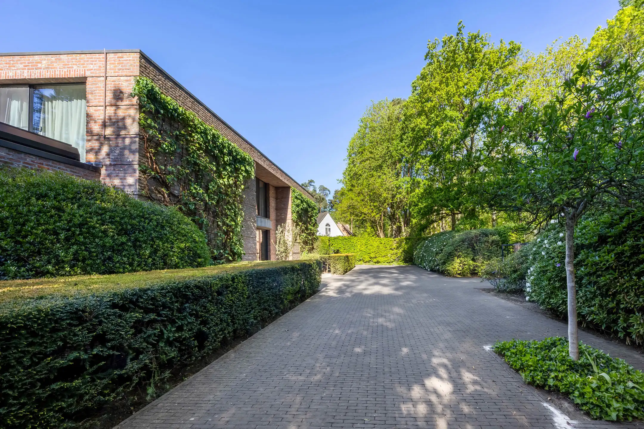 Architectenvilla met zwembad en ZW tuin in Hof Ter Linden foto 59