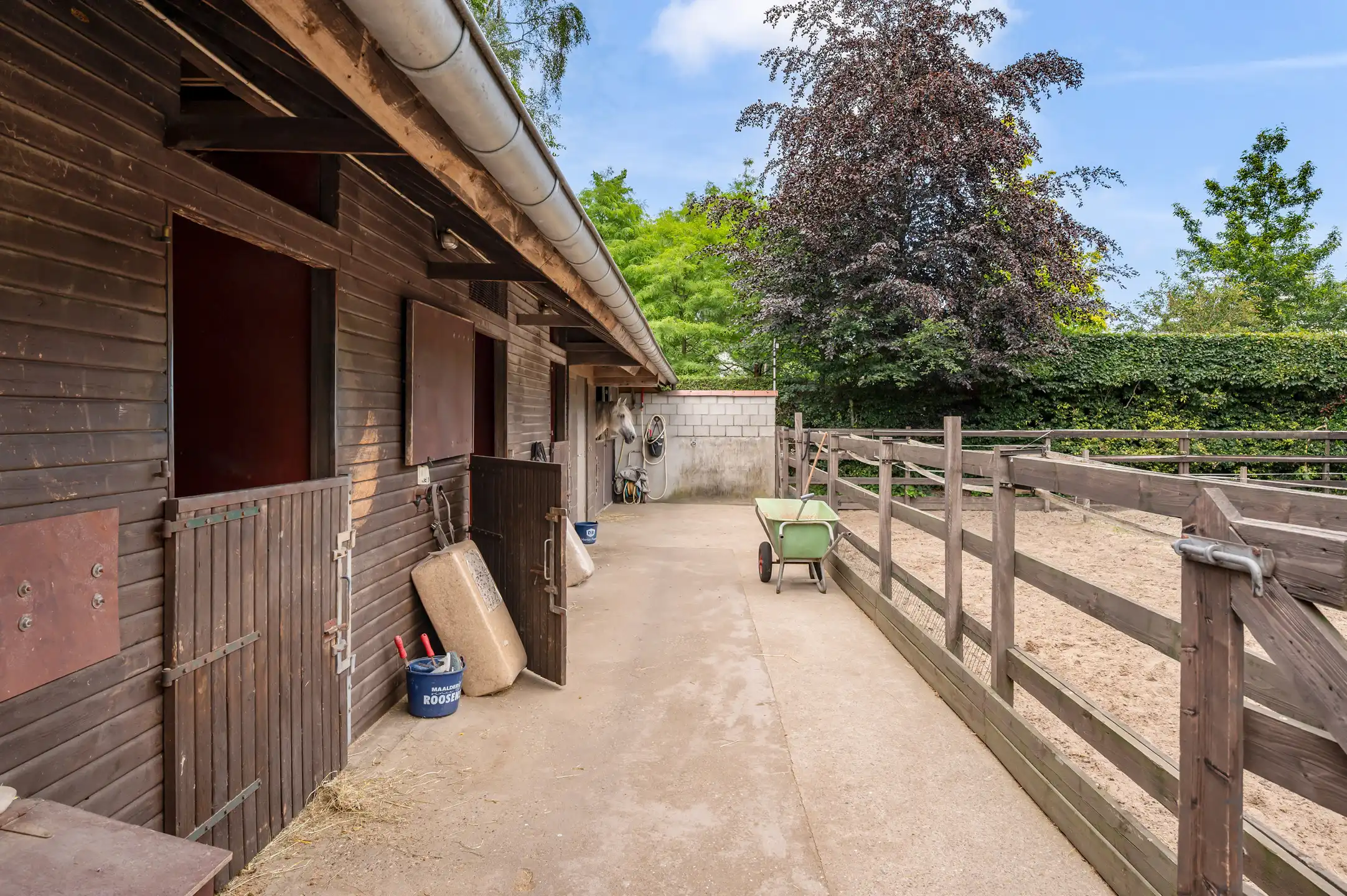 Karaktervolle villa met paardenaccommodatie op prachtig zuidwestgericht perceel in De Fazant te Wuustwezel foto 39