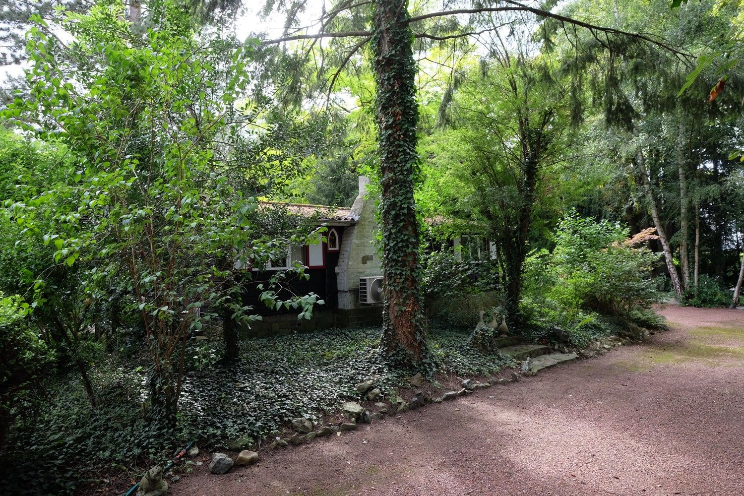 Uniek perceel met een charmante vakantiewoning midden in de natuur omgeven door een uitzonderlijke collectie van prachtige bomen. foto 12