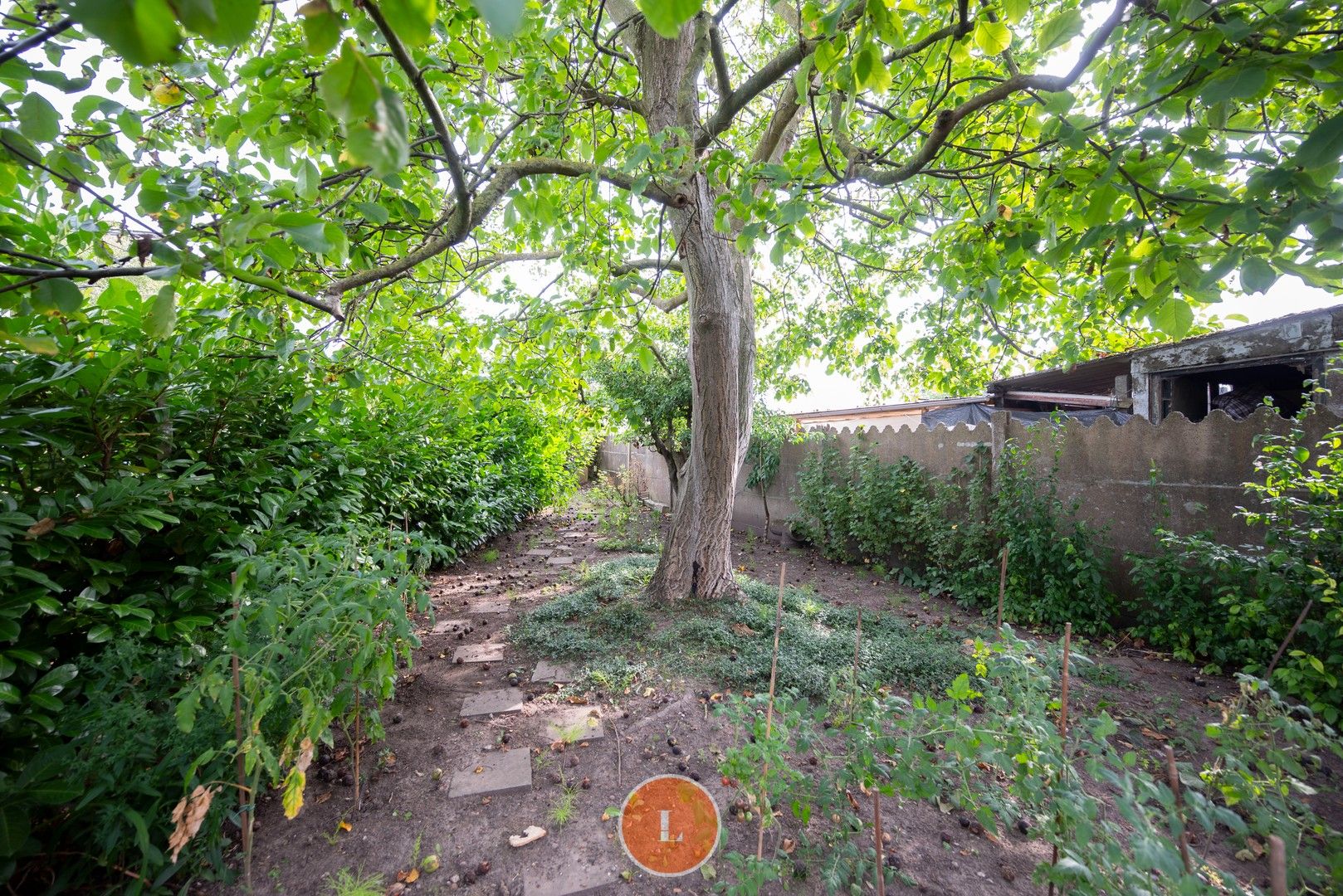 Te renoveren woning te koop in Menen foto 16