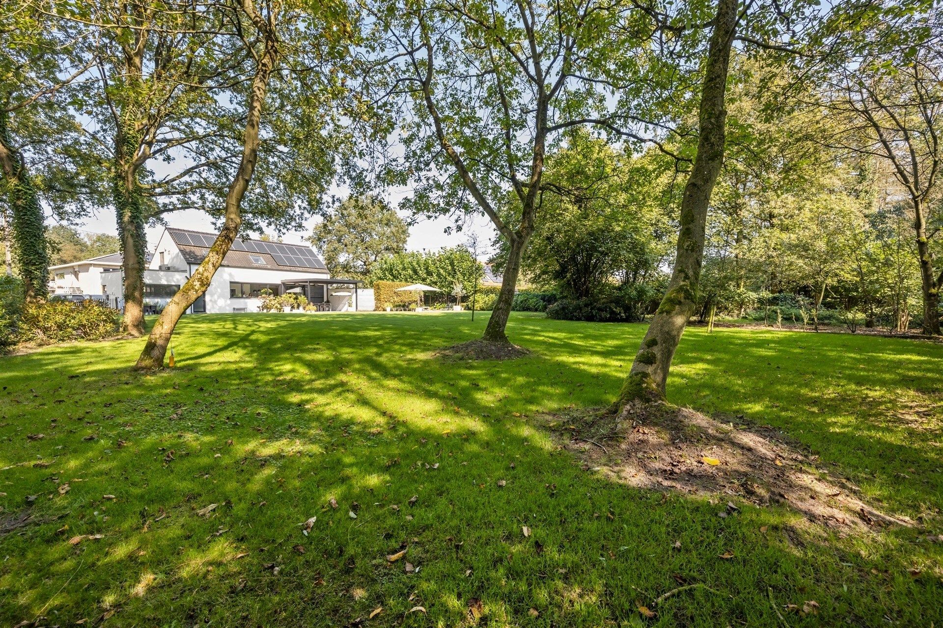 Elegante villa in een prachtige groene omgeving op 3.529m² foto 40