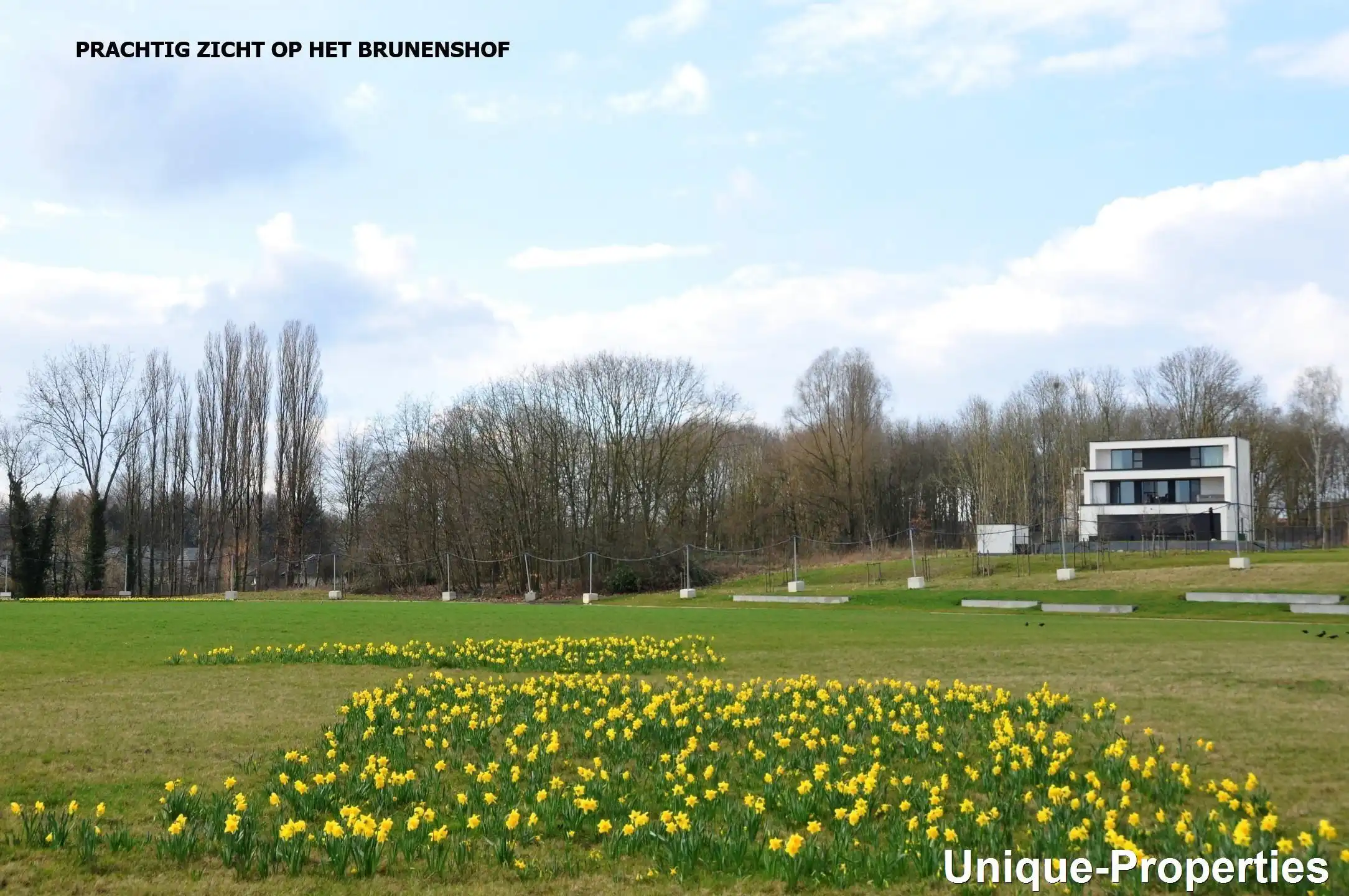 Grond te koop foto 3