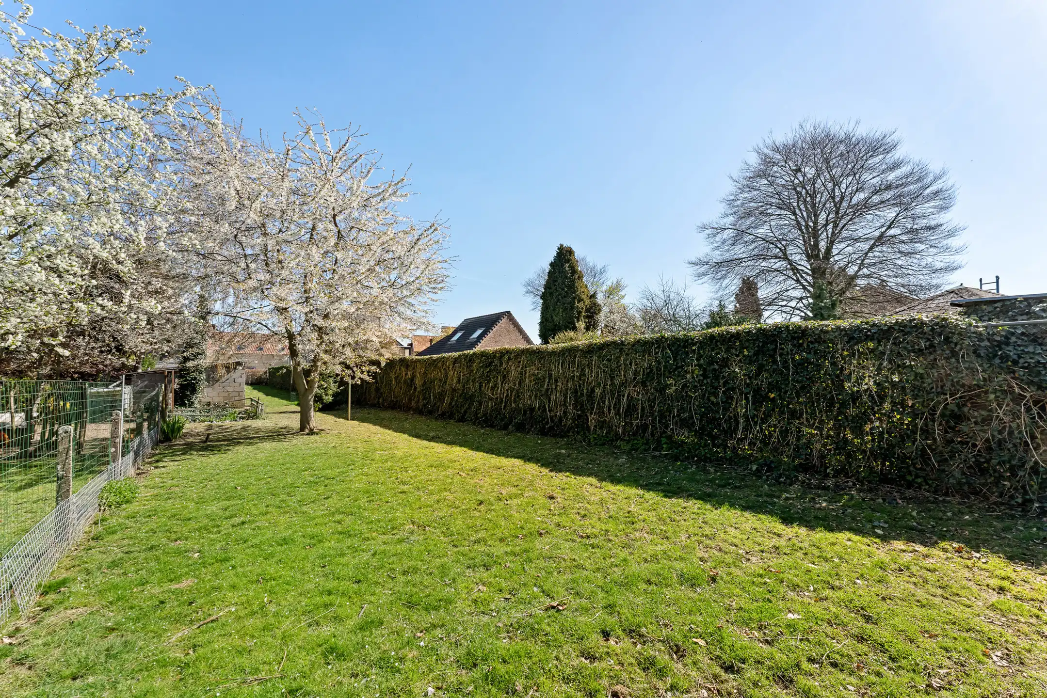 Charmante woning vlakbij de grens met Maastricht.  foto 12