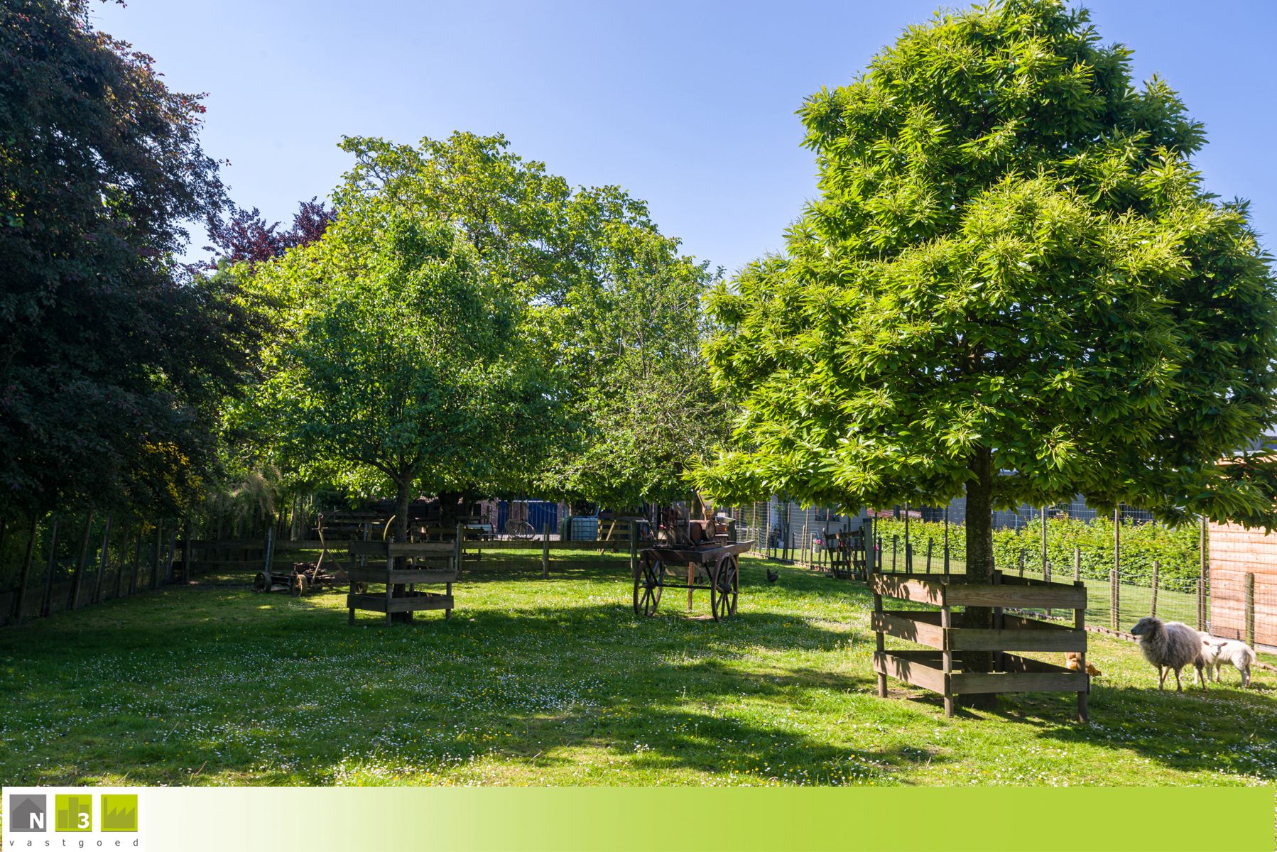 Boerderij te koop foto 61