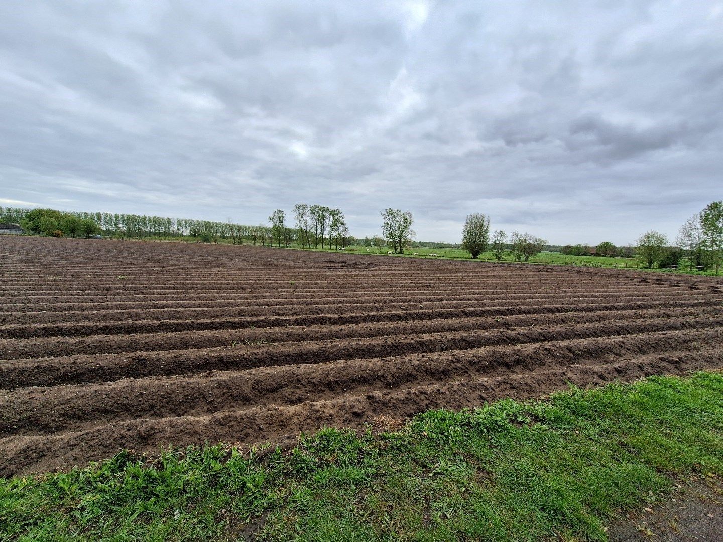Perceel bouwgrond in landelijke omgeving - zonder bouwverplichting! foto 7