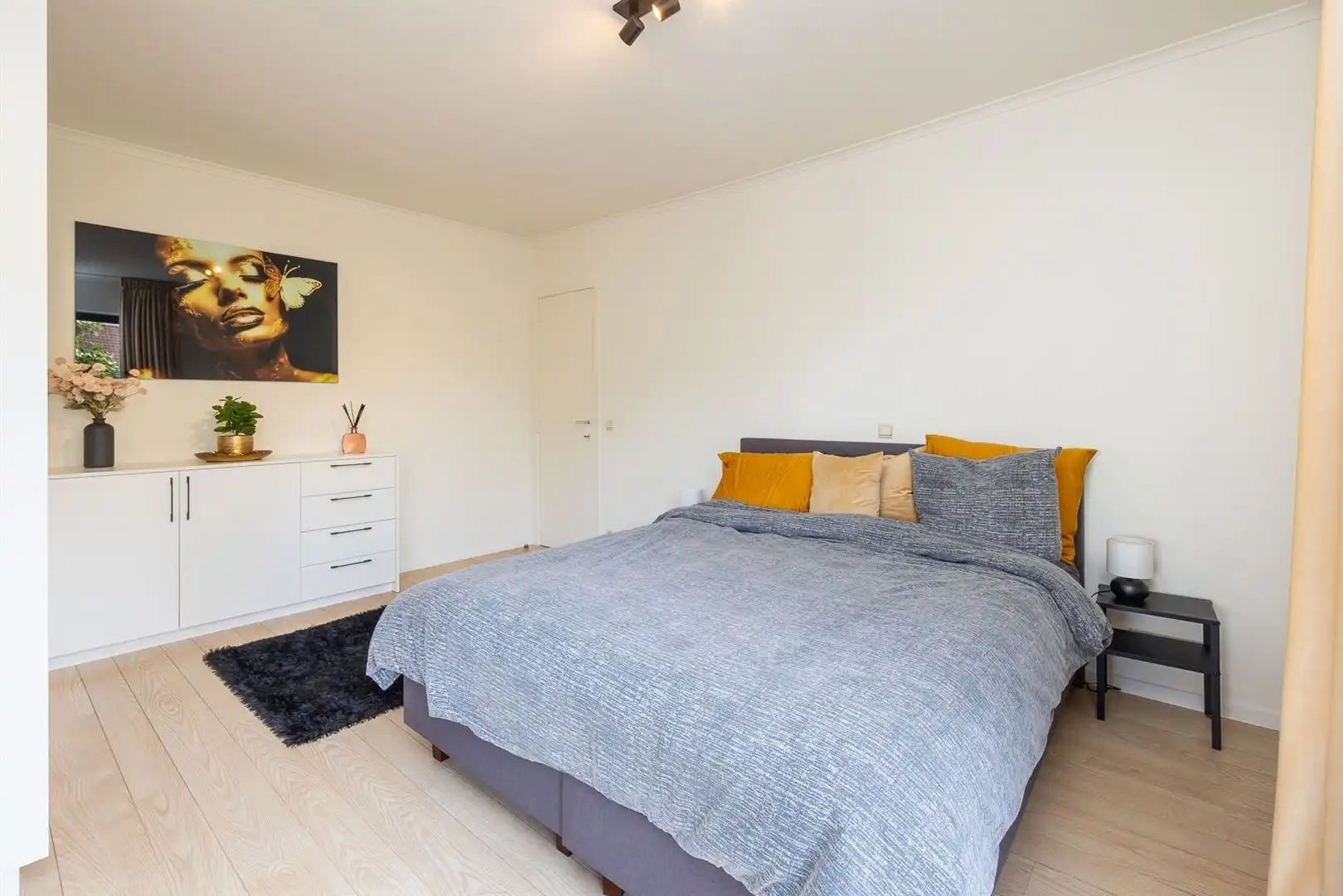 Prachtig appartement met lift, garage nabij 't MAS te Antwerpen  foto 11