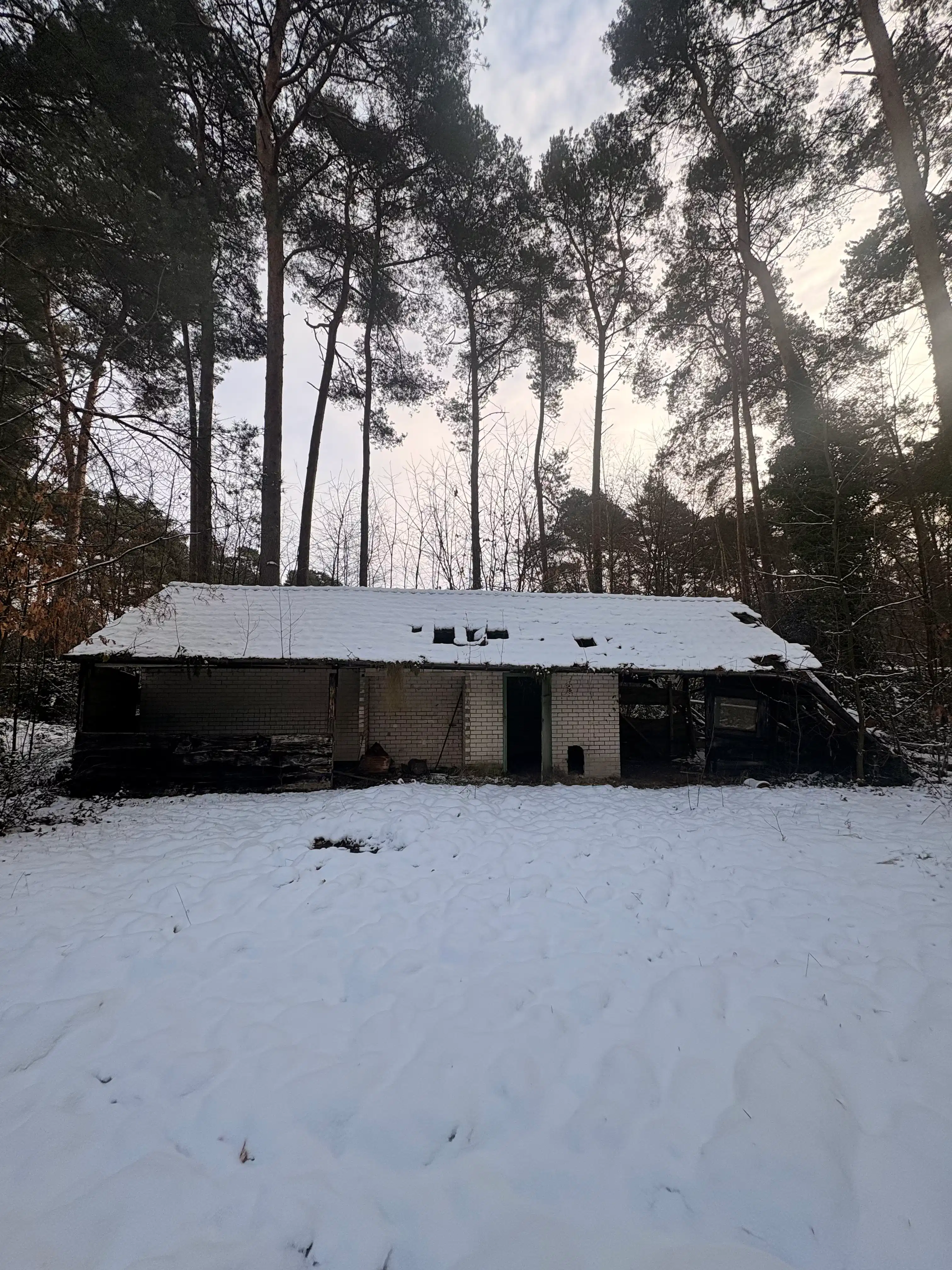 Karaktervolle villa op uniek perceel van ca. 5000 vierkante meter foto 17
