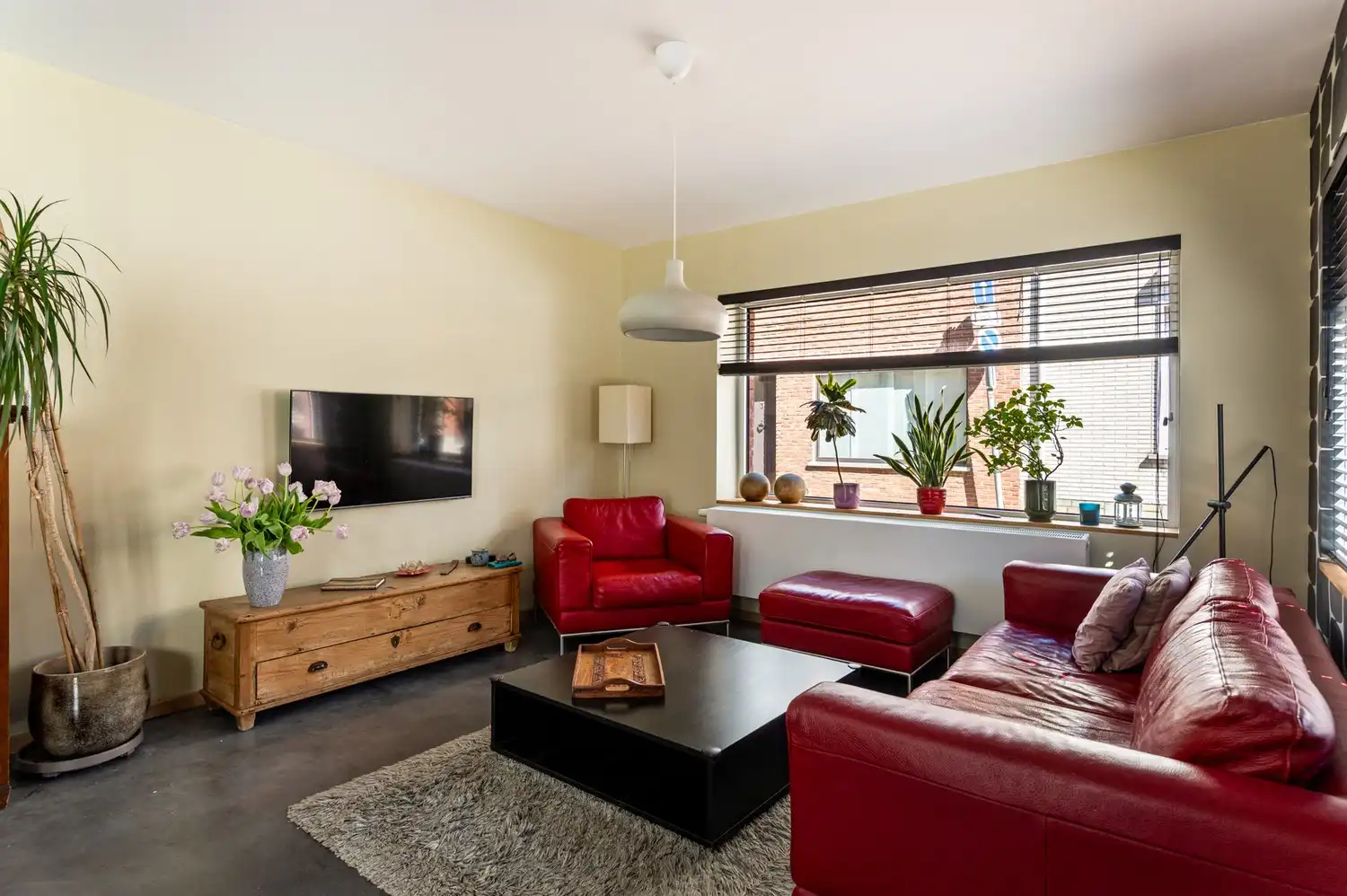 Gerenoveerde woning met 3 slaapkamers en terras te Lier foto 4
