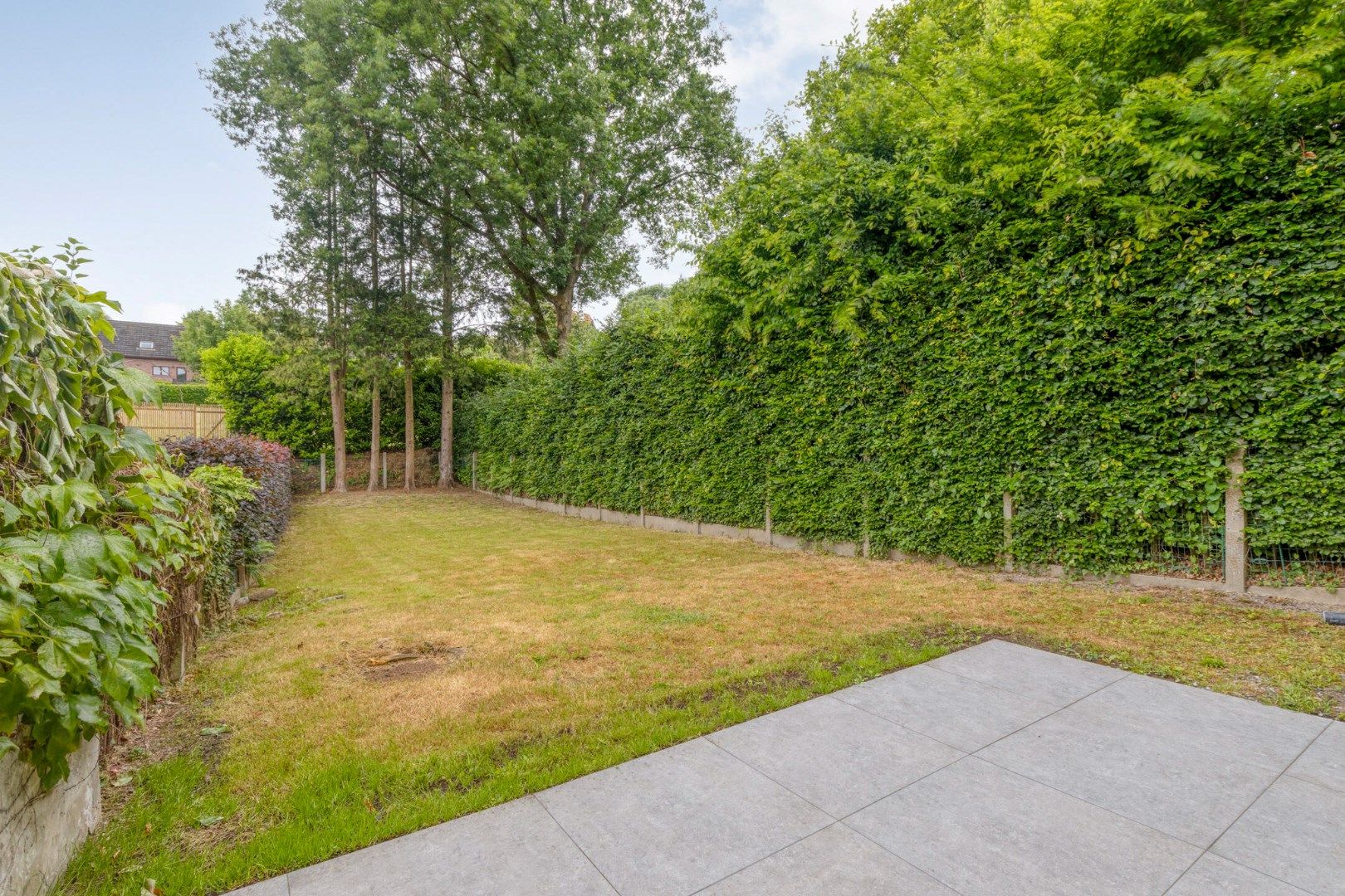 Vernieuwde woning met 3 kamers + garage 1652 ALSEMBERG (BEERSEL) foto 3