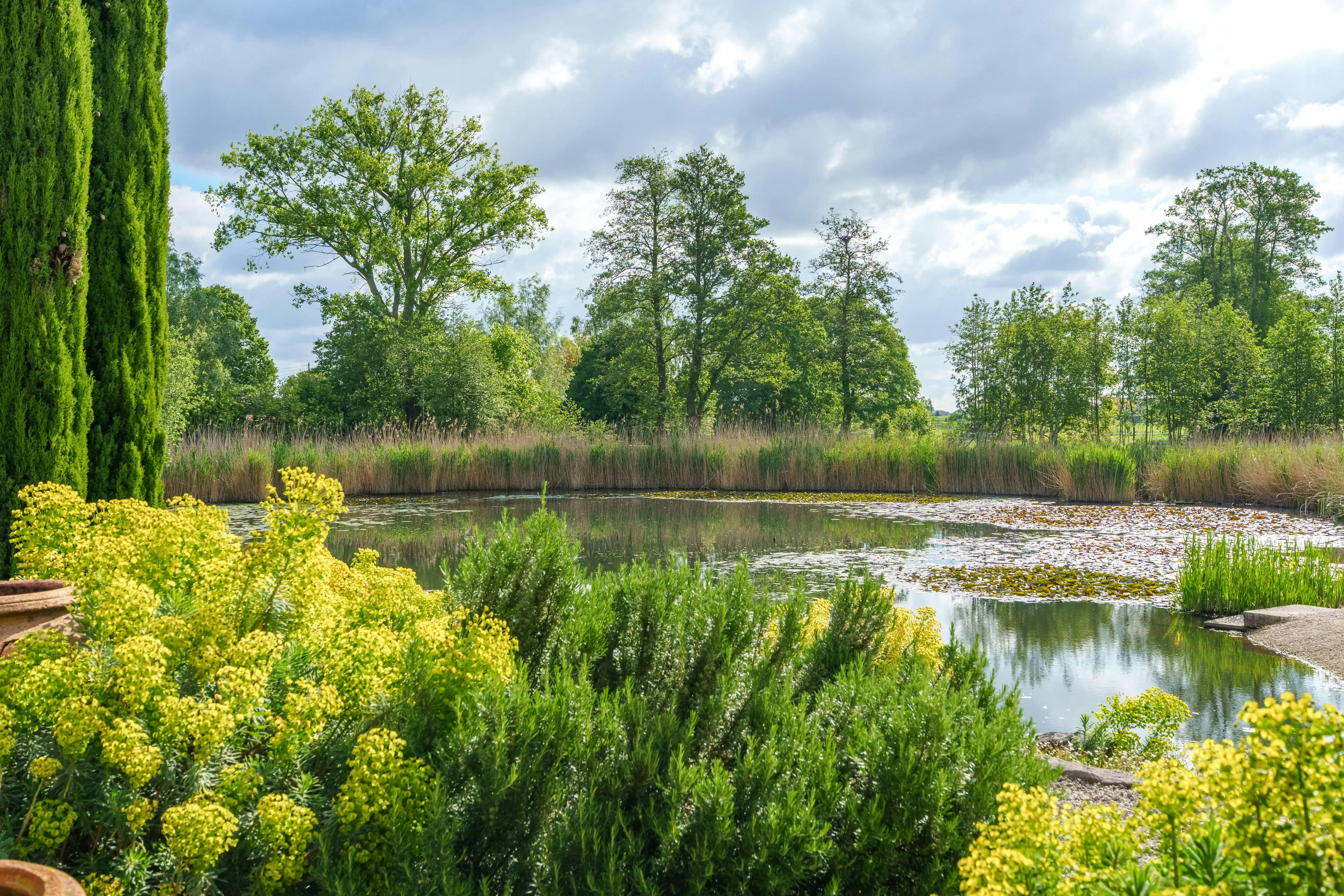 Alleenstaand huis te Meulebeke met prachtige tuin en vijver! foto 22