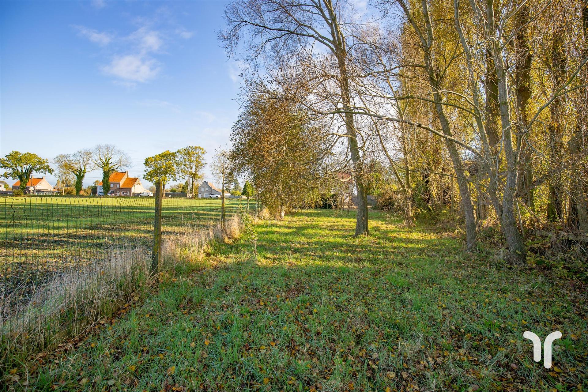 Ruim handelshuis met heel wat mogelijkheden. foto 10