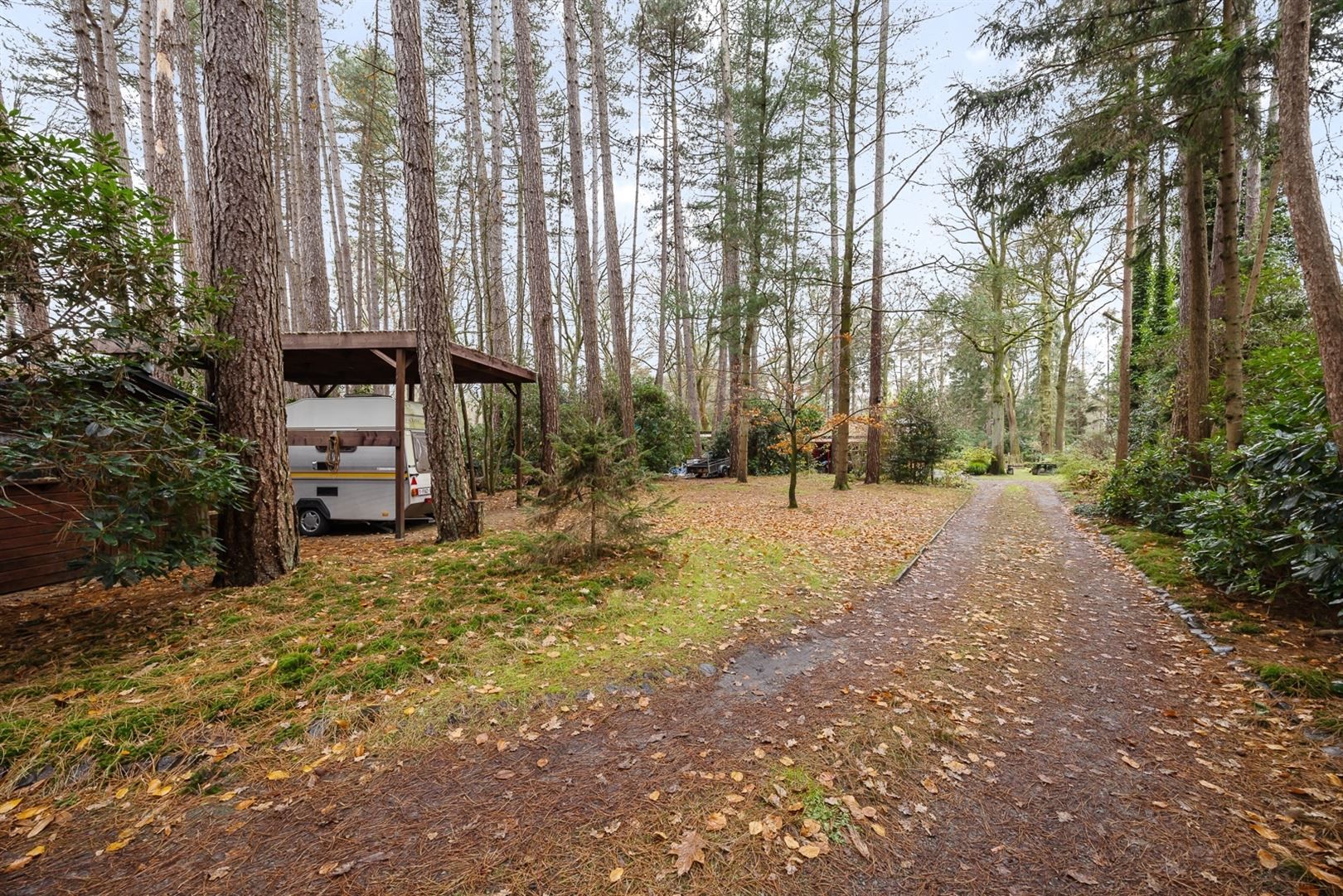 Gezellige tiny house in recreatiegebied foto 13