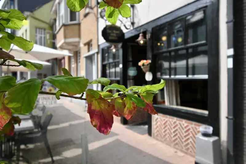 Karaktervolle handelswoning met woonst op toplocatie in het centrum van Deinze foto 3