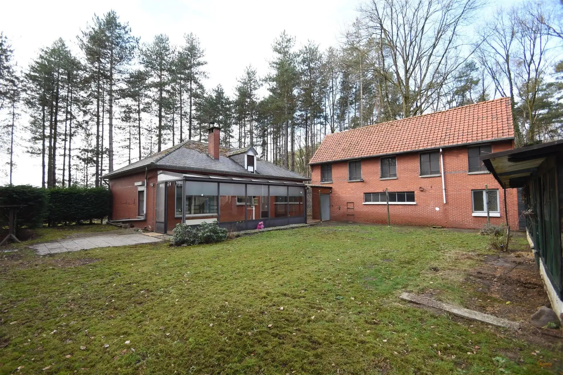 Gezellige woning met 2 Slaapkamers in Beverlo foto 3