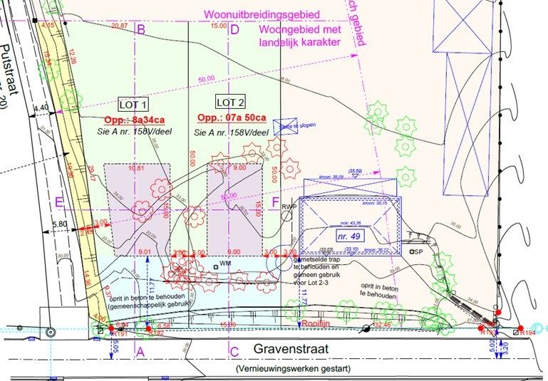 HOLSBEEK - projectgrond +1 hectare foto 2