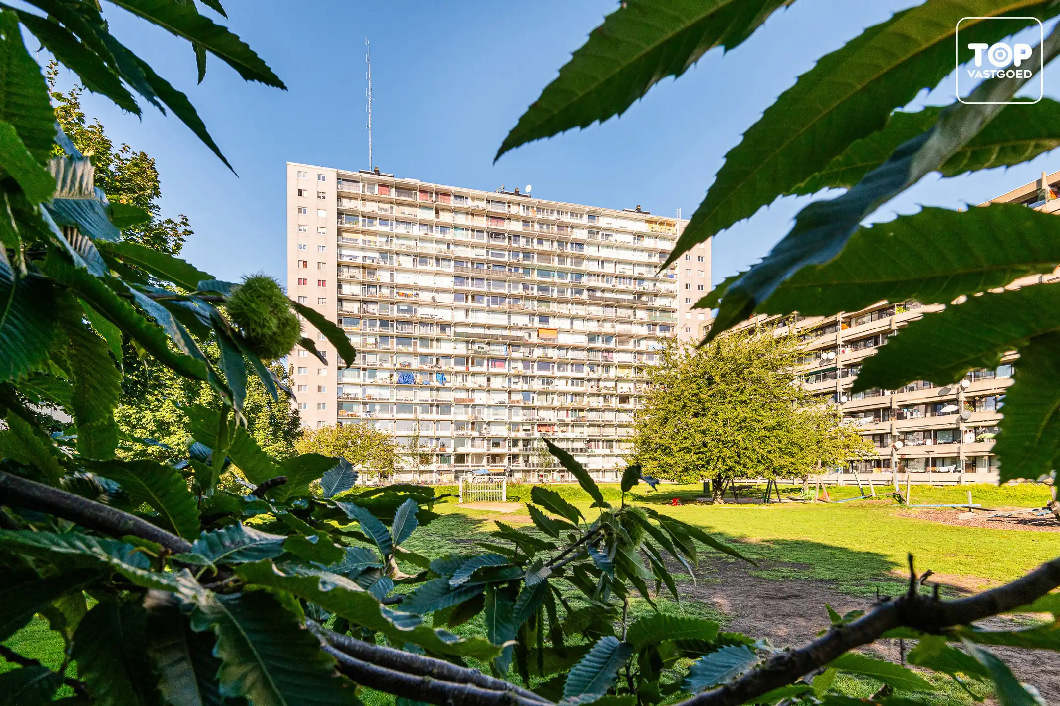 Studio te koop Scandinaviëstraat 81 - 9000 Gent