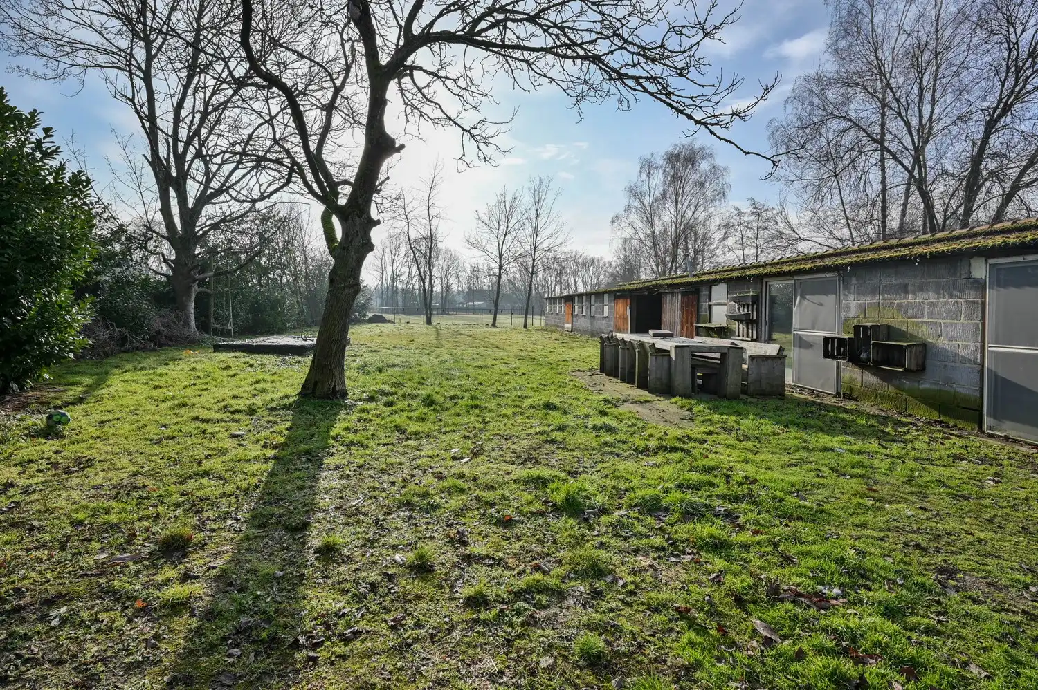 Prachtig gerenoveerde villa woning, gelegen in een rustige straat met bijgebouw 500m² foto 2