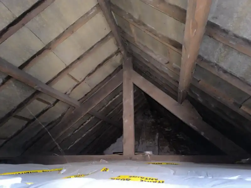 Rijwoning met garage foto 18