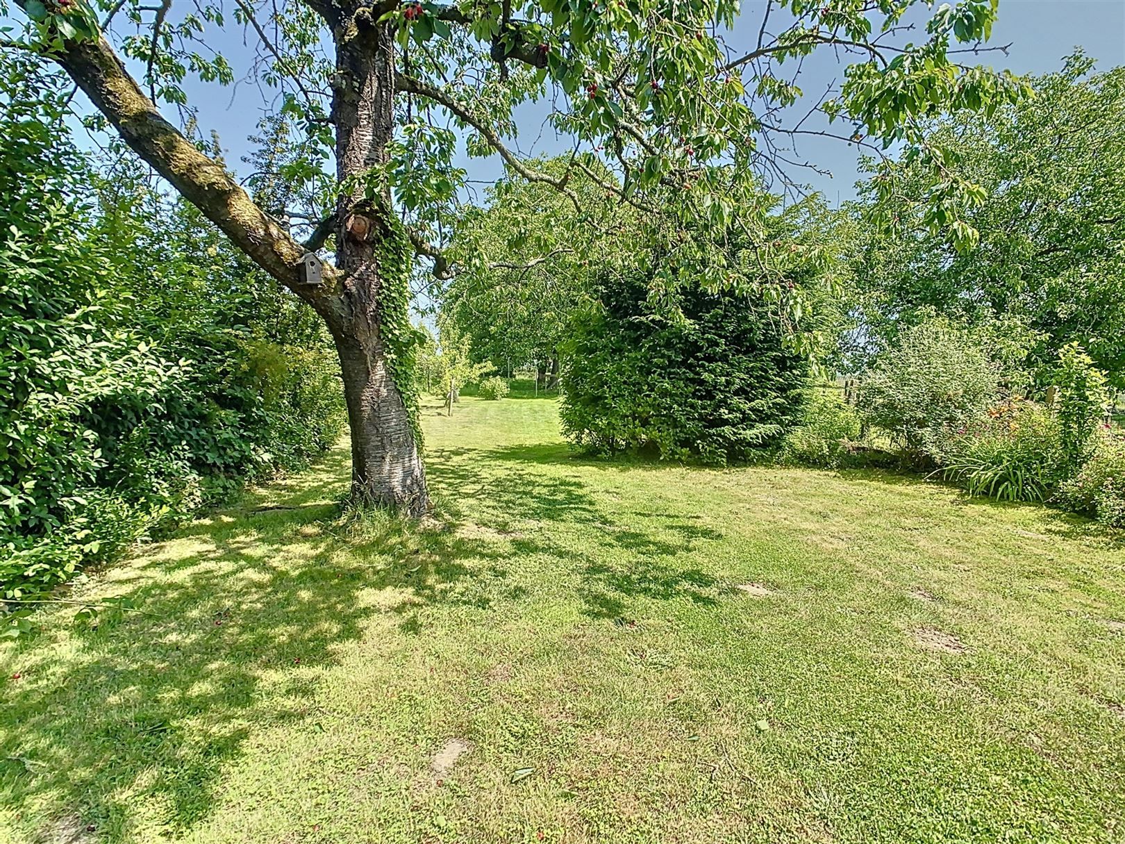 Ruime woning, 3 slpks (+ inrichtb zolder), tuin, 9a 53ca  foto 8