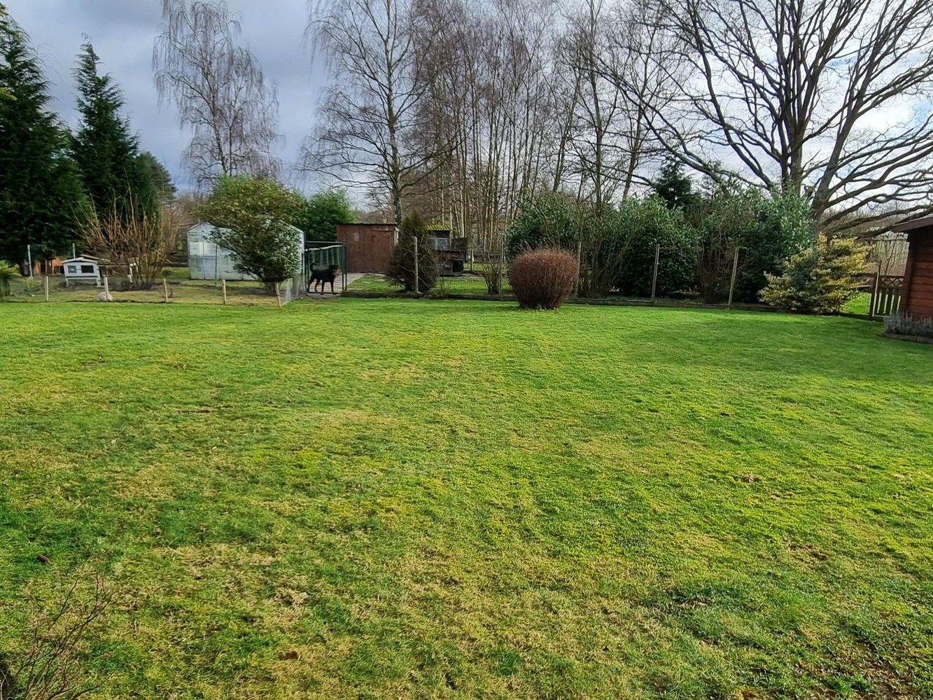 Vrijstaande woning gelegen in een rustige straat te Baal (Tremelo) op 31a66ca grond. Prachtige tuin. foto 5