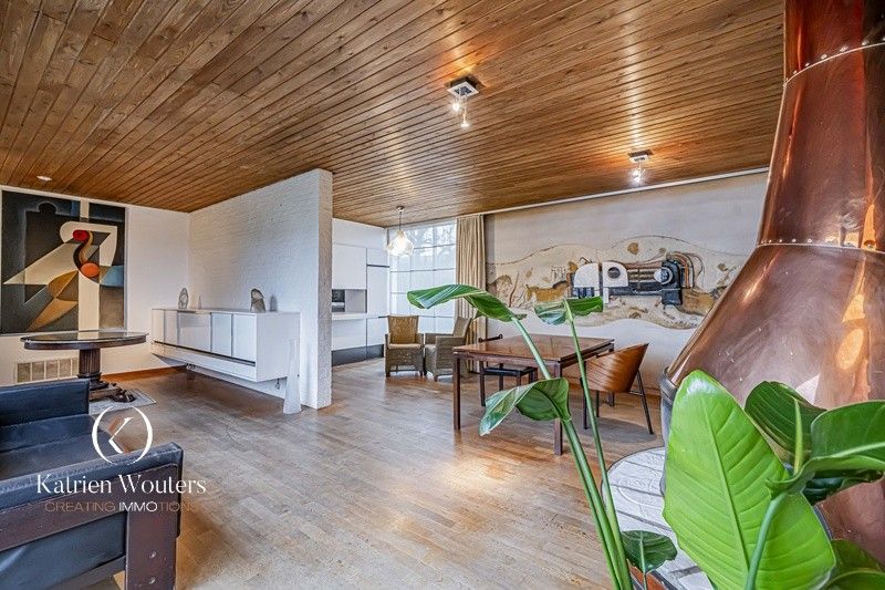 Organische architecten- en kunstenaarswoning foto 6