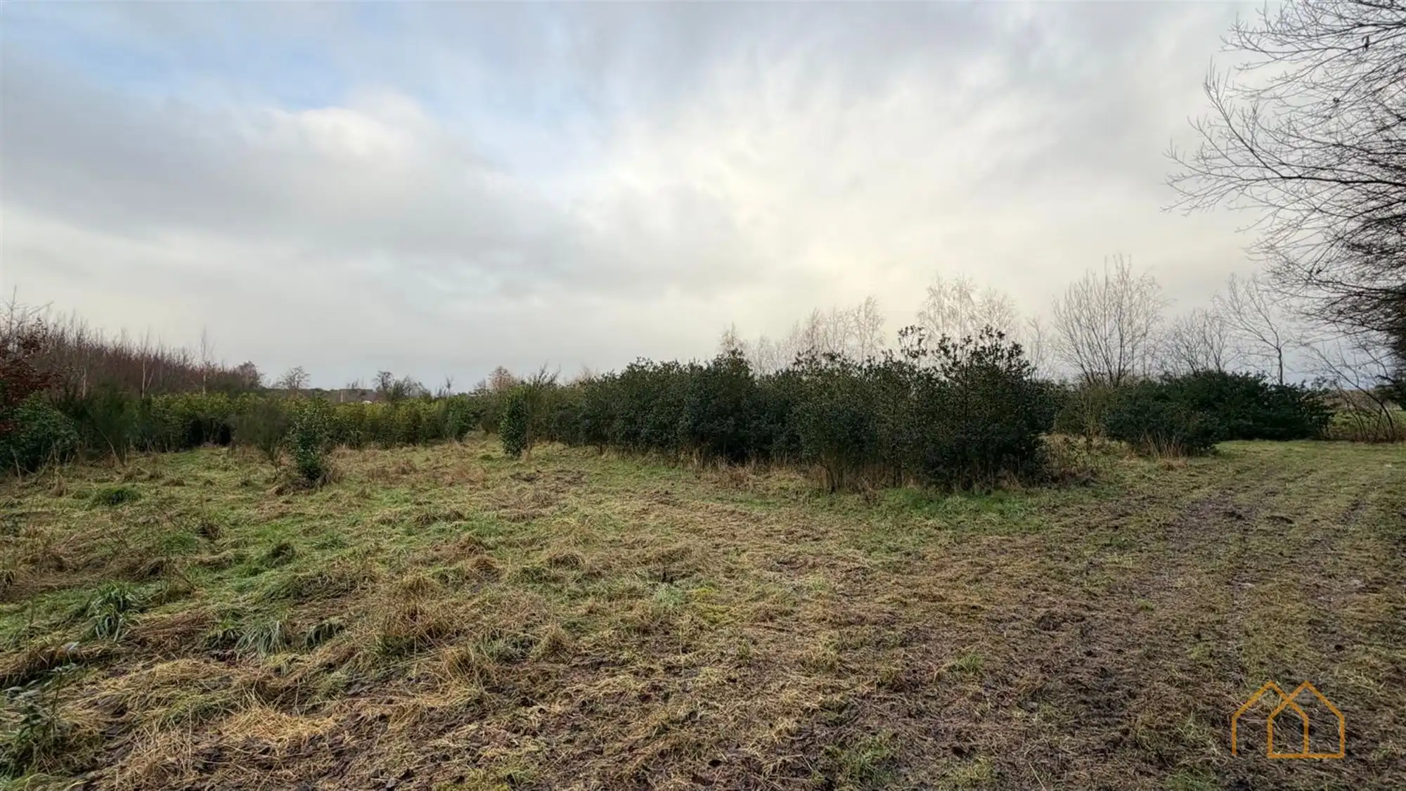 Landbouwgrond van 8600m² in Ten Aard foto 7