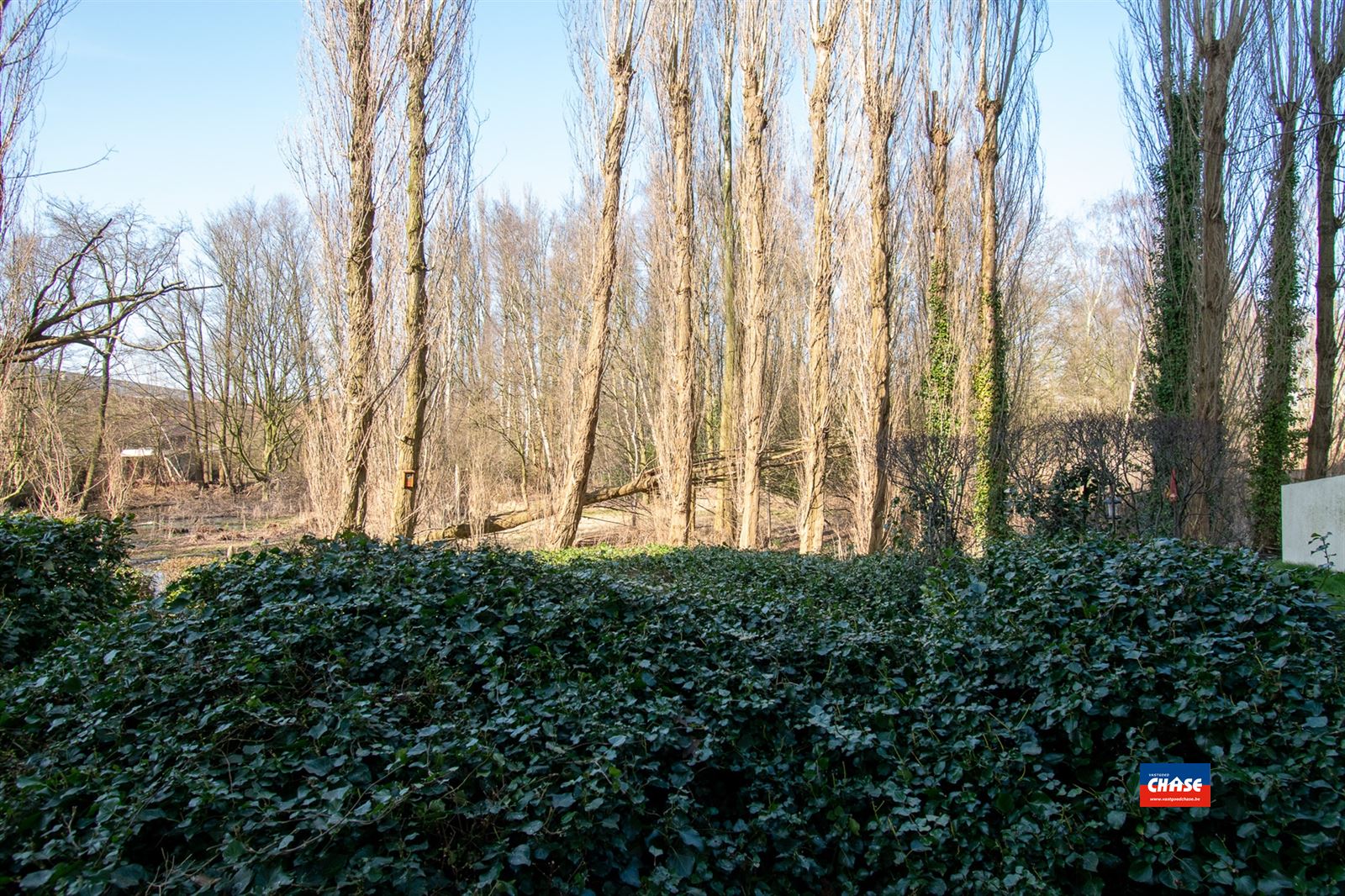 Instapklaar gvl-appartement  met 1 slpk  foto 12