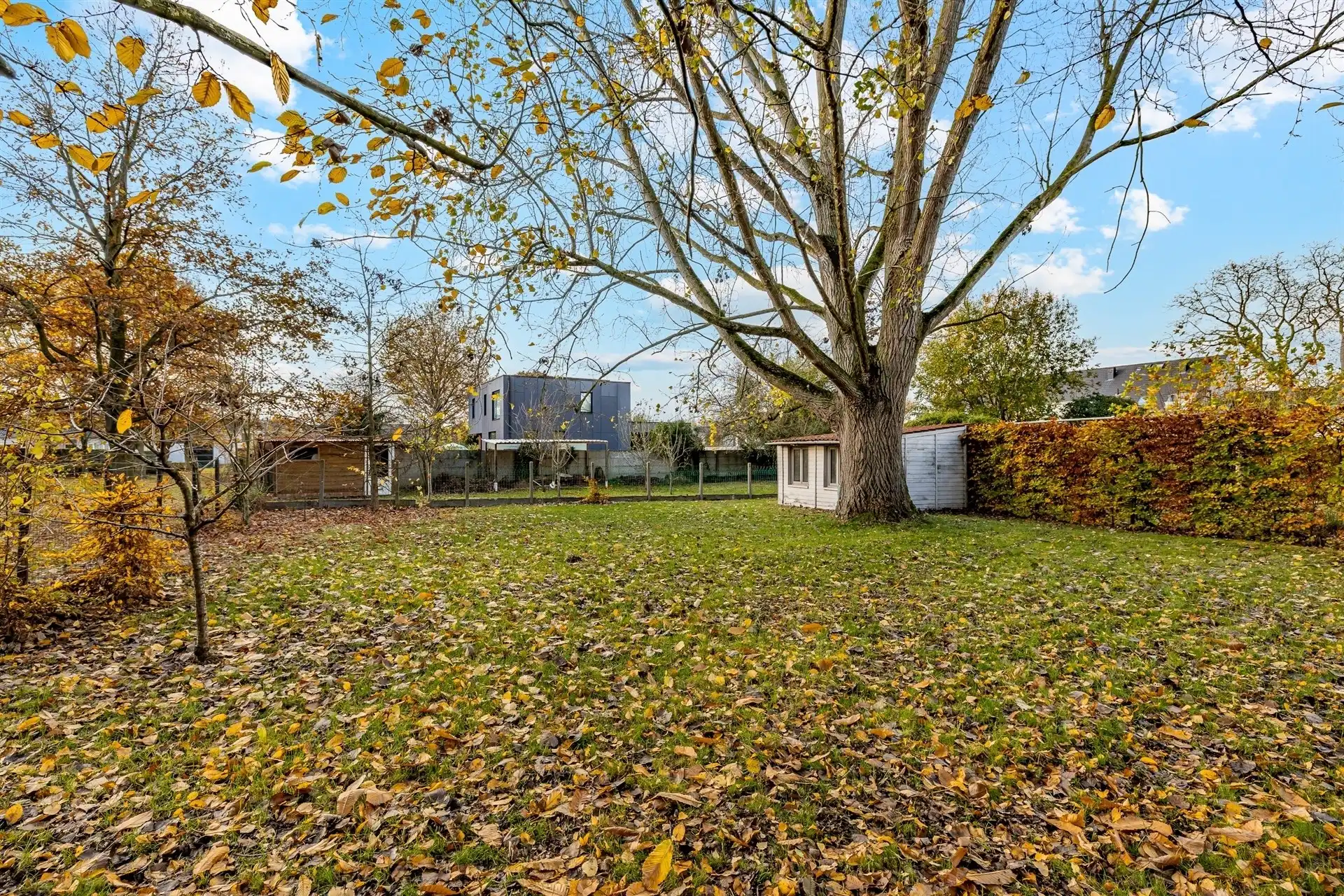 Gezellige rijwoning met uitzonderlijke grote tuin in hartje Schellebelle foto 27