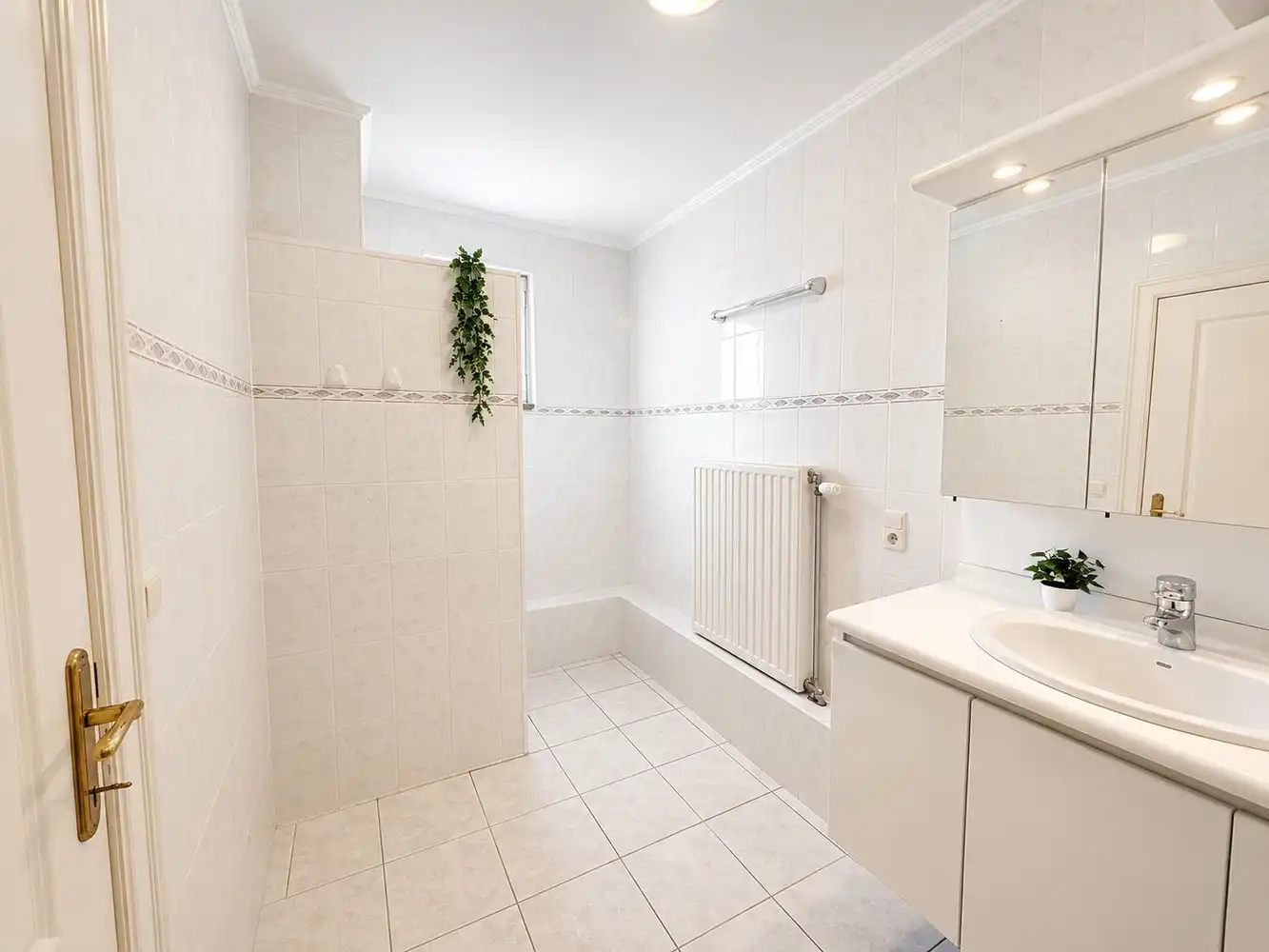 RUIM LICHTRIJK APPARTEMENT foto 9