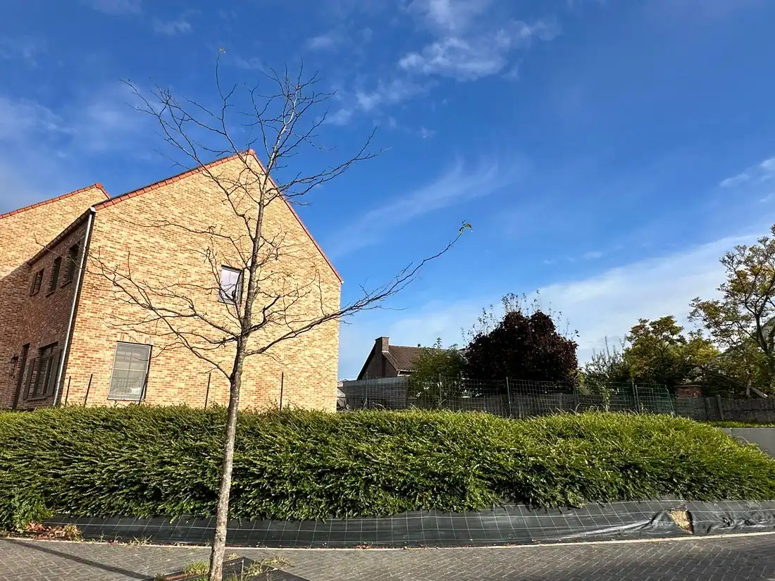 Bijna energieneutrale halfopen bebouwing te Zoutleeuw NIET ONDER BTW-STELSEL verkocht foto 3