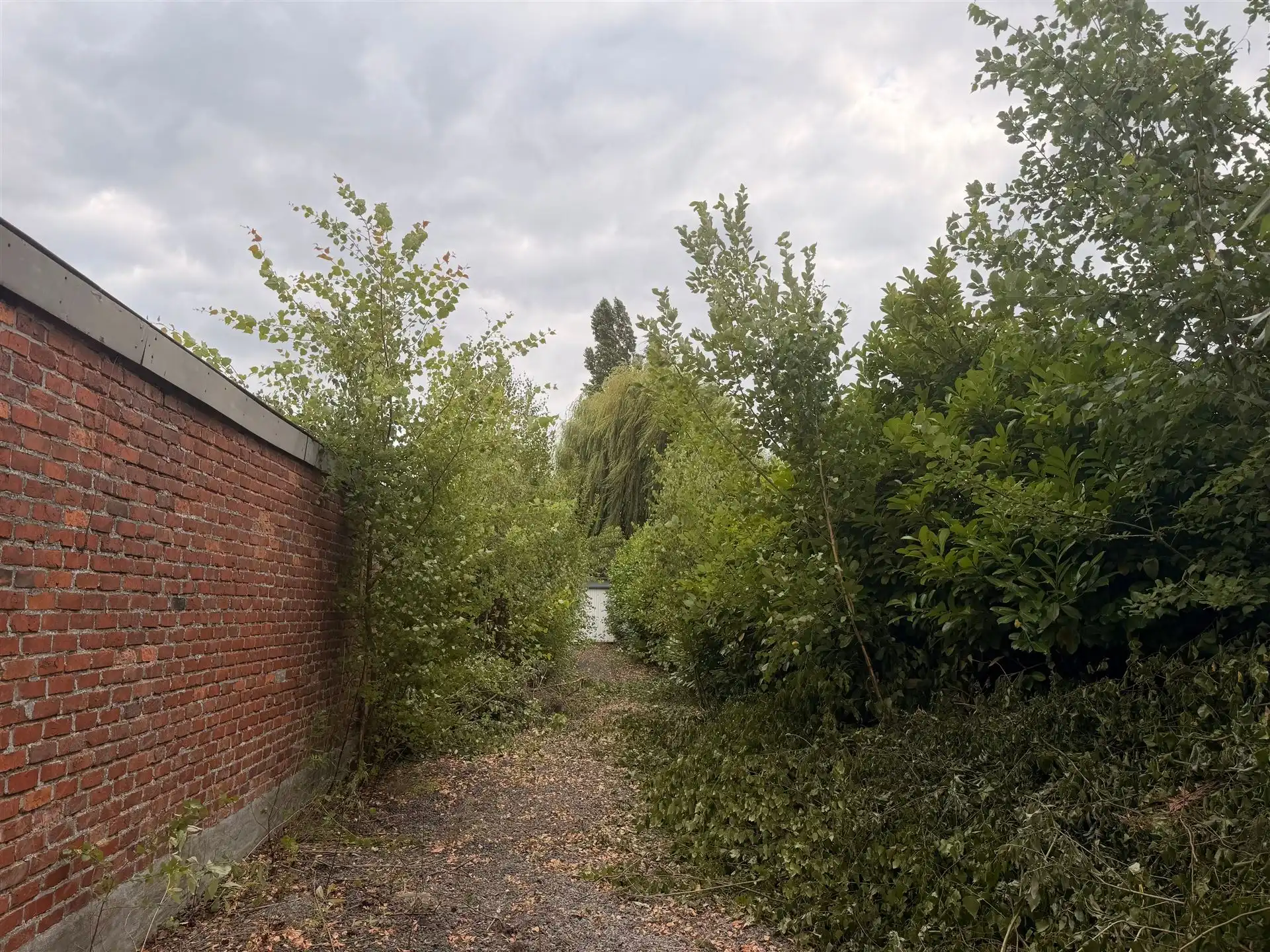 Unieke bouwgrond met vergund bouwplan te Niel!  foto 13
