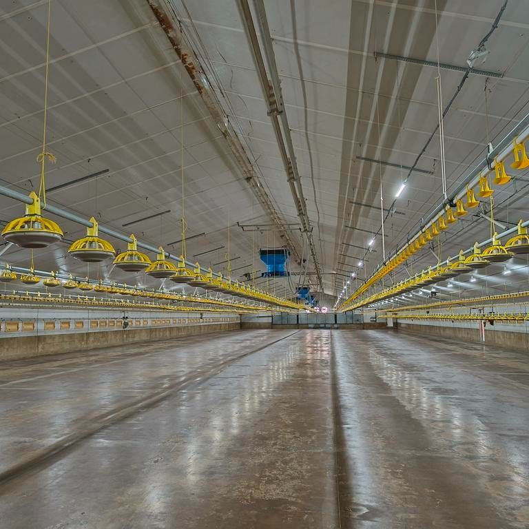 Modern pluimveebedrijf foto 3