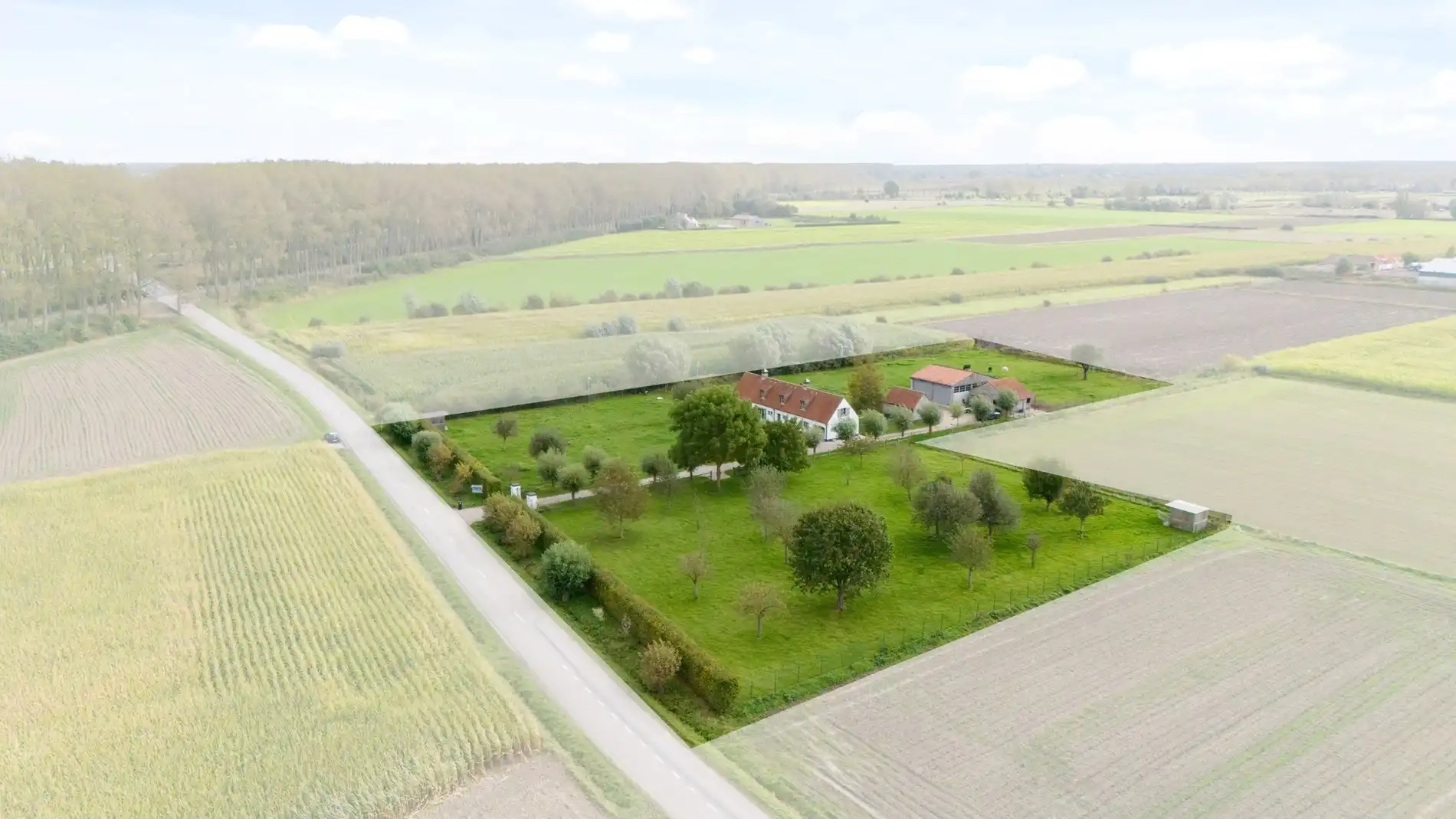Schitterende hoeve met weilanden - Geen functiewijziging nodig foto {{pictureIndex}}