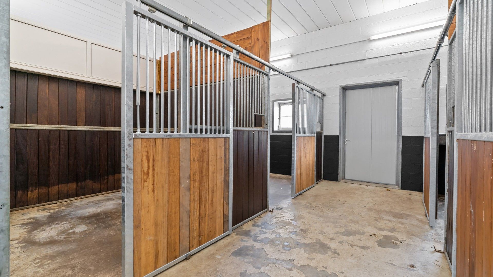 Exclusief hippisch eigendom met binnen- en buitenpiste, paardenstallen foto 14