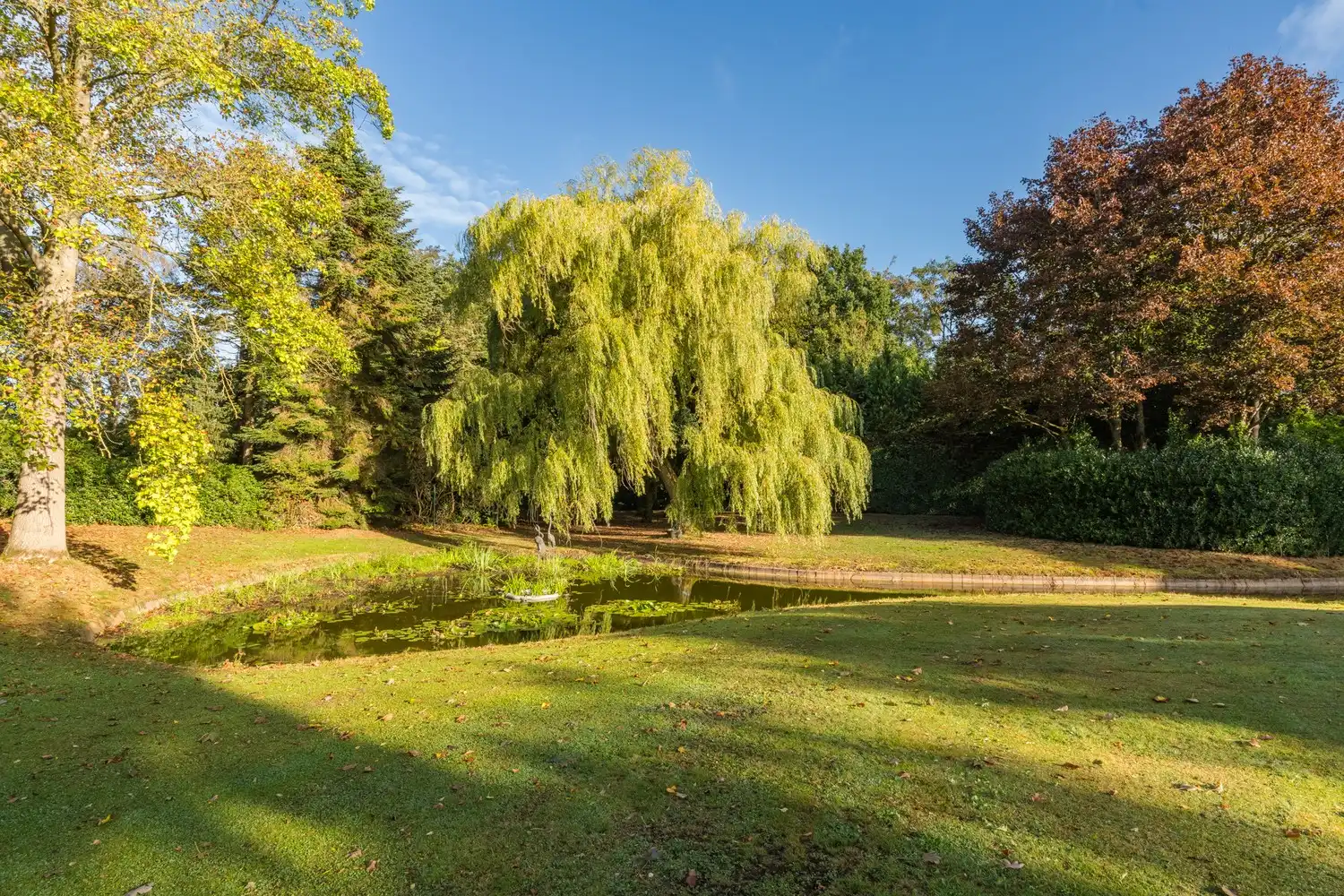 Prachtige villa op een uitzonderlijk domein van 20600m² foto 67