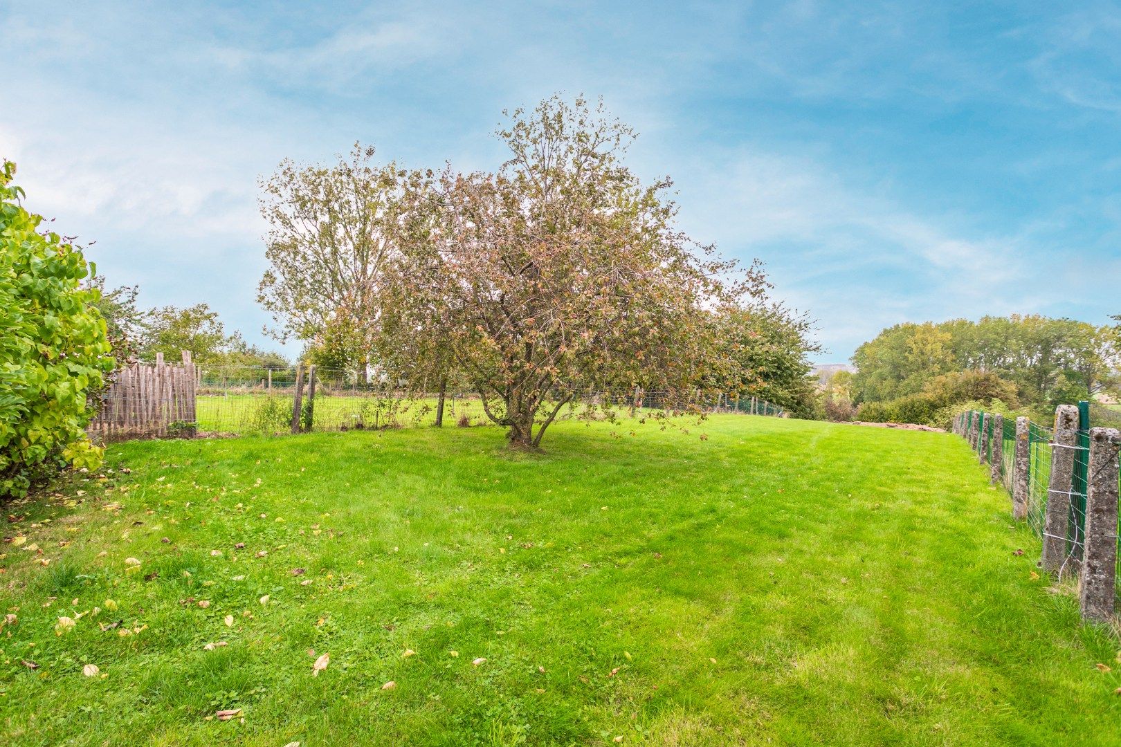 Instapklare woning met 3 slpk, garage en tuin te Pajottegem foto 29