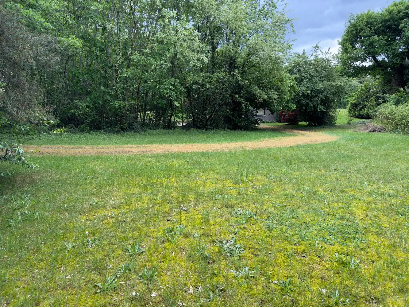 Genk, Wijerdriesstraat 51 - Mooie bouwgrond voor open bebouwing van 14a 62ca. foto 6