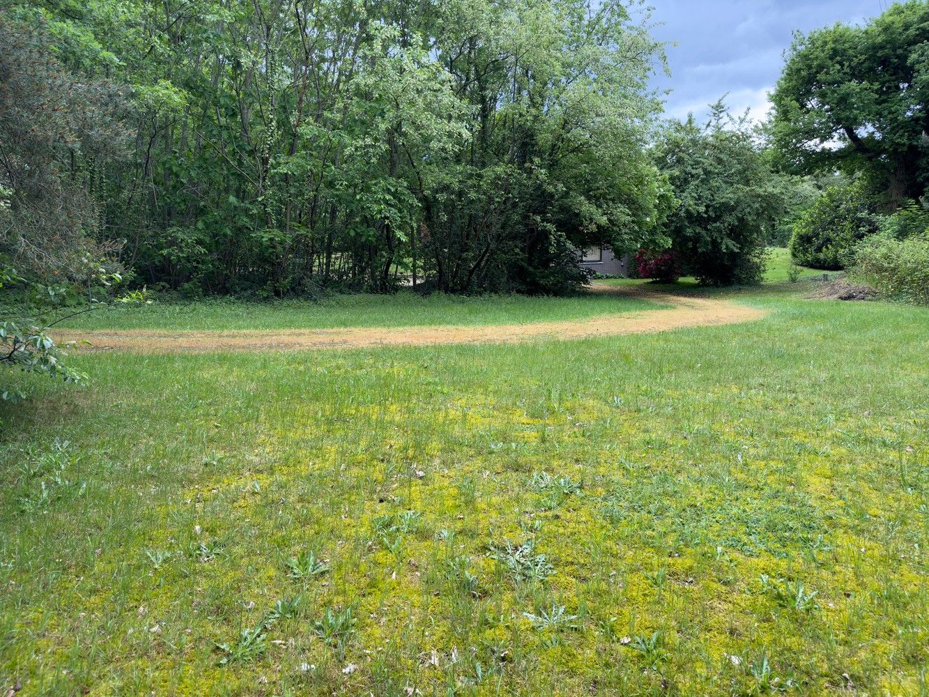 Genk, Wijerdriesstraat 51 - Mooie bouwgrond voor open bebouwing van 14a 62ca. foto 6