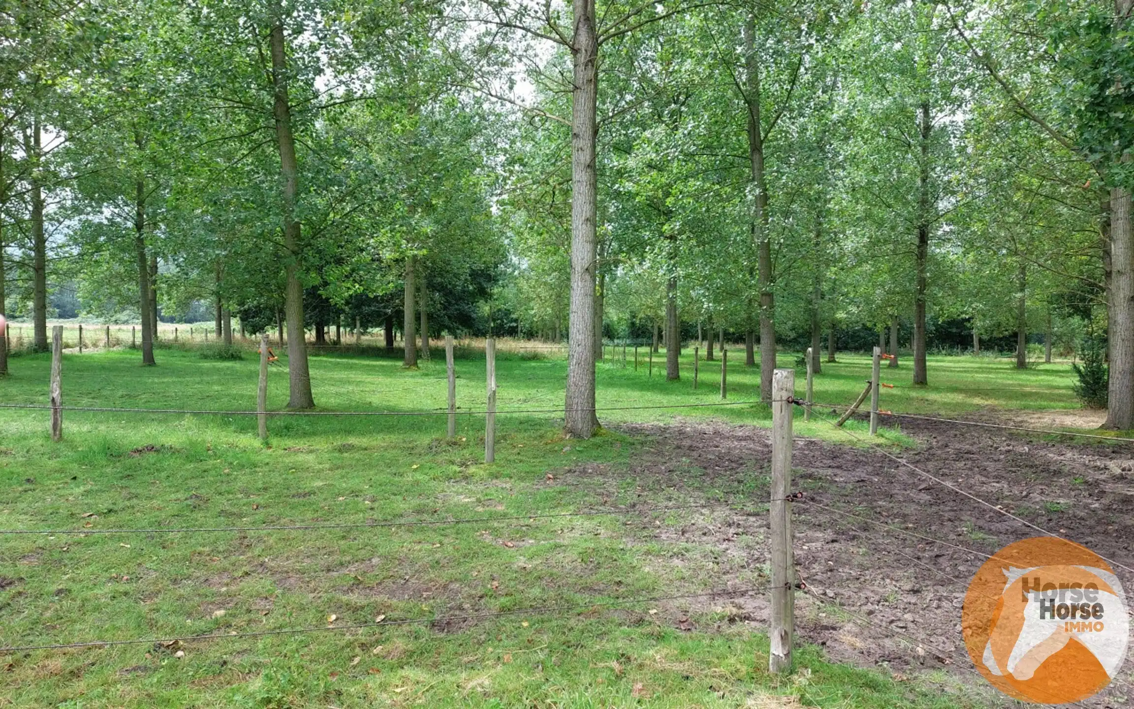 RUMMEN - Charmant landhuis op idyllische locatie op +/- 67a foto 31