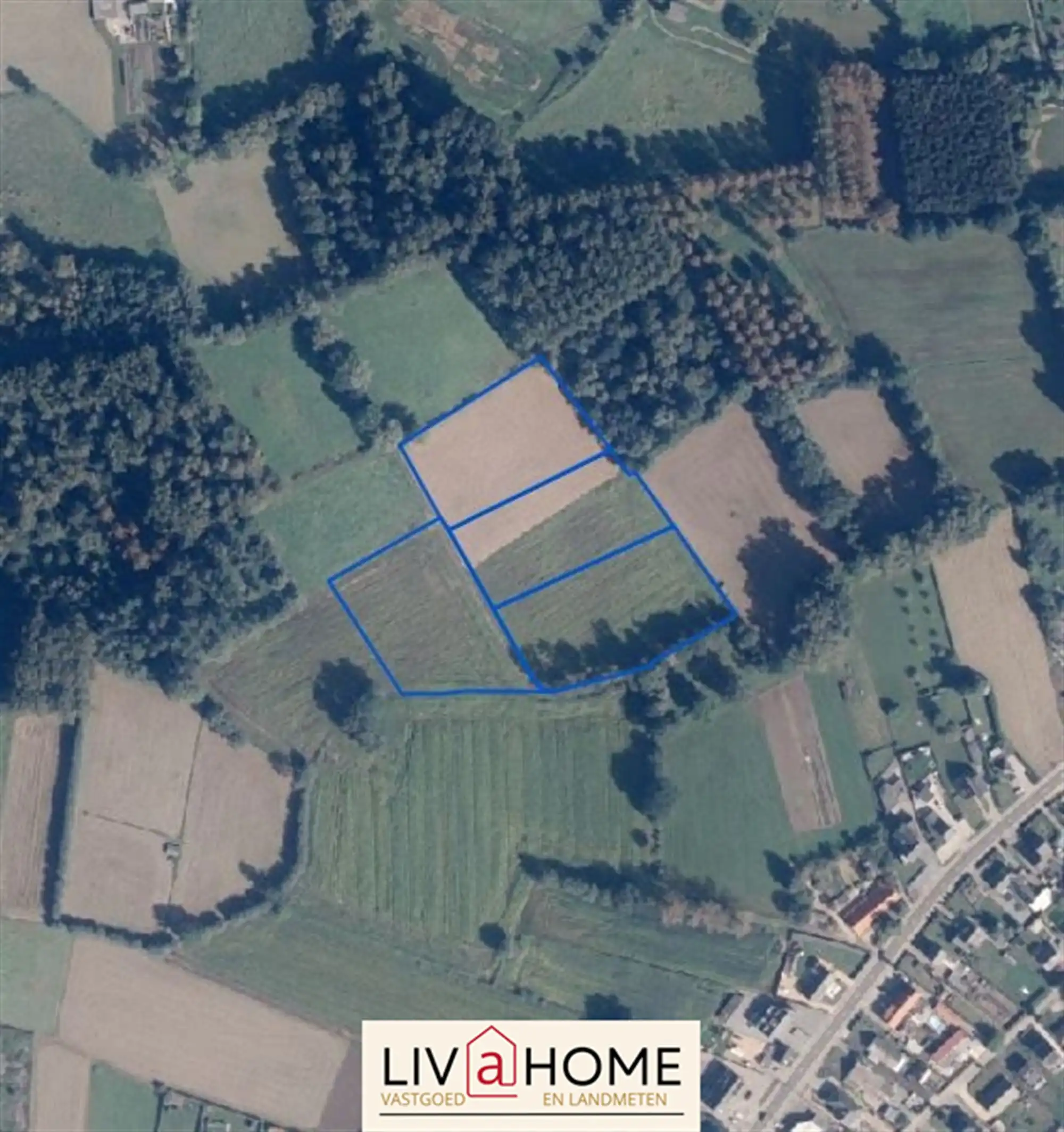 landbouwgrond - niet verpacht. foto 2