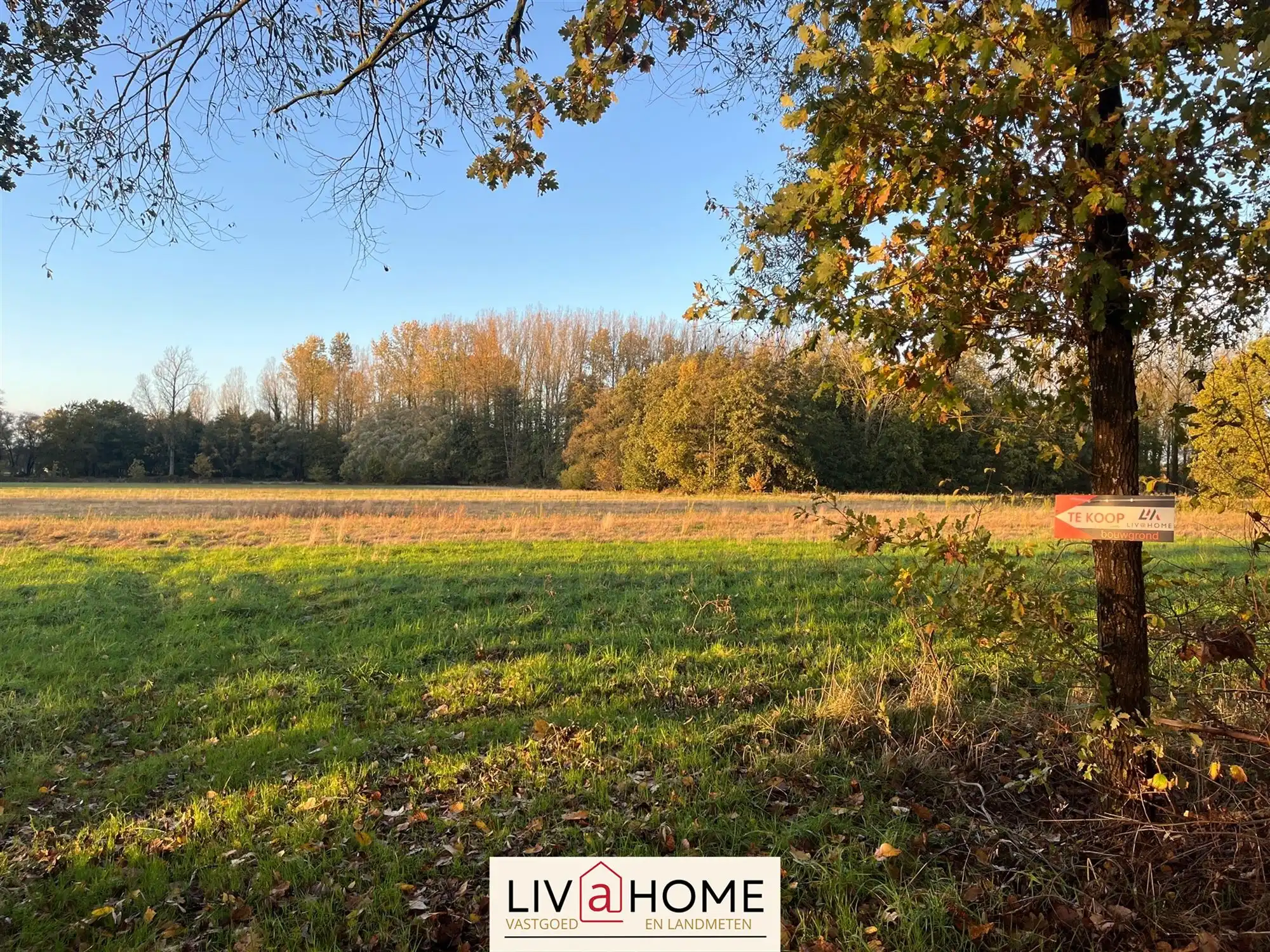 landbouwgrond - niet verpacht. foto 2