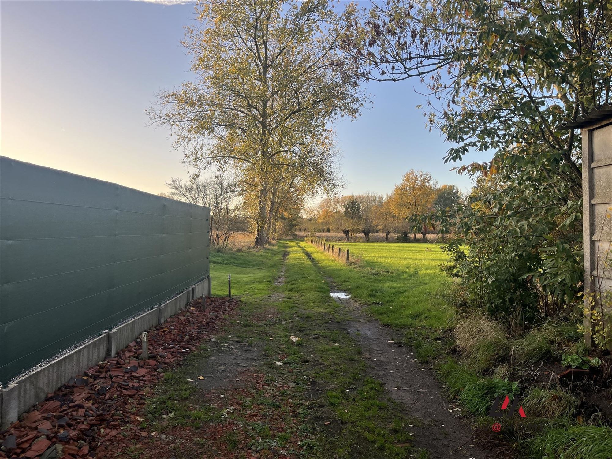 landbouwgrond - niet verpacht. foto 2