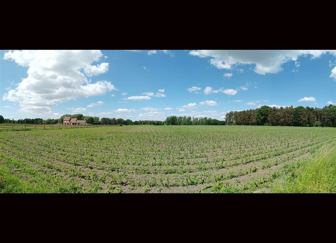 Temidden van weilanden, 5 slpk., label D foto 48