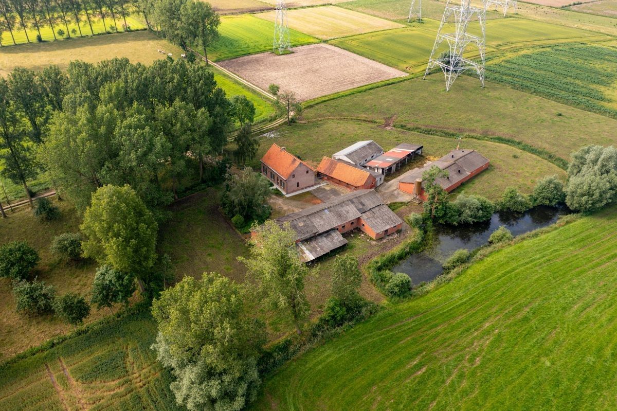 Centraal gelegen hoeve te koop te Kruibeke (Bazel) op circa 1 ha foto 1