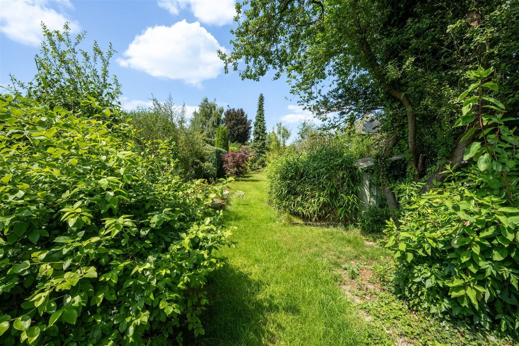 bel-etage foto 22