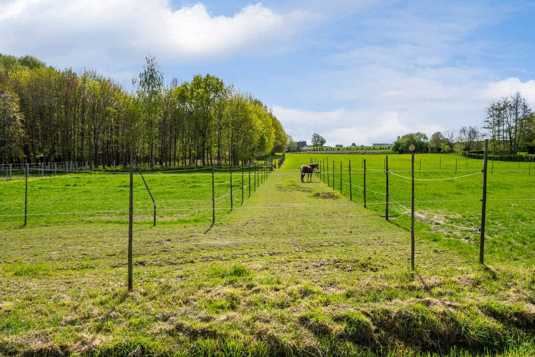 Instapklare nieuwbouwwoning met uitzicht op de velden foto 25