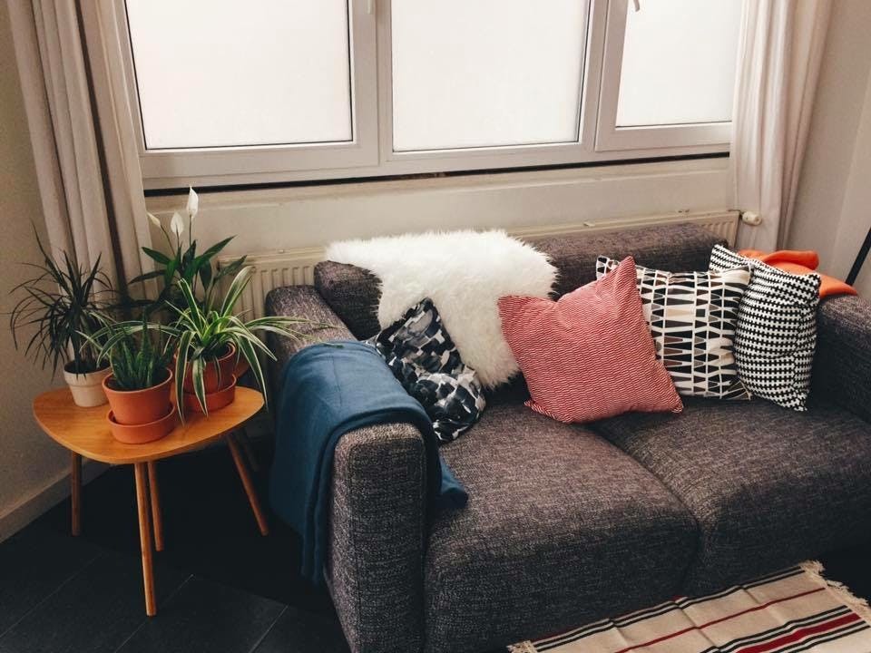 Studentengebouw met 9 kamers en 1 studio te koop in Antwerpen foto 3