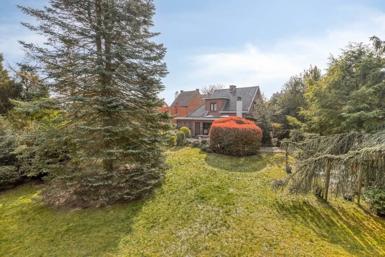 Projectgrond met woning te koop in Schoot, Tessenderlo foto 12