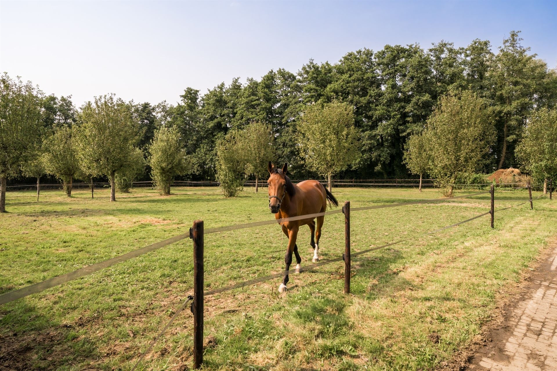 Uitzonderlijk en uniek pand in een paradijselijke omgeving waar luxe en natuur samenkomen foto 22