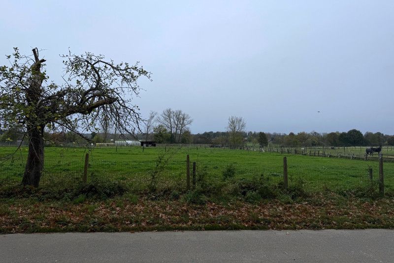 Weide van 34are gelegen langs de Halensebaan in Waanrode foto 2